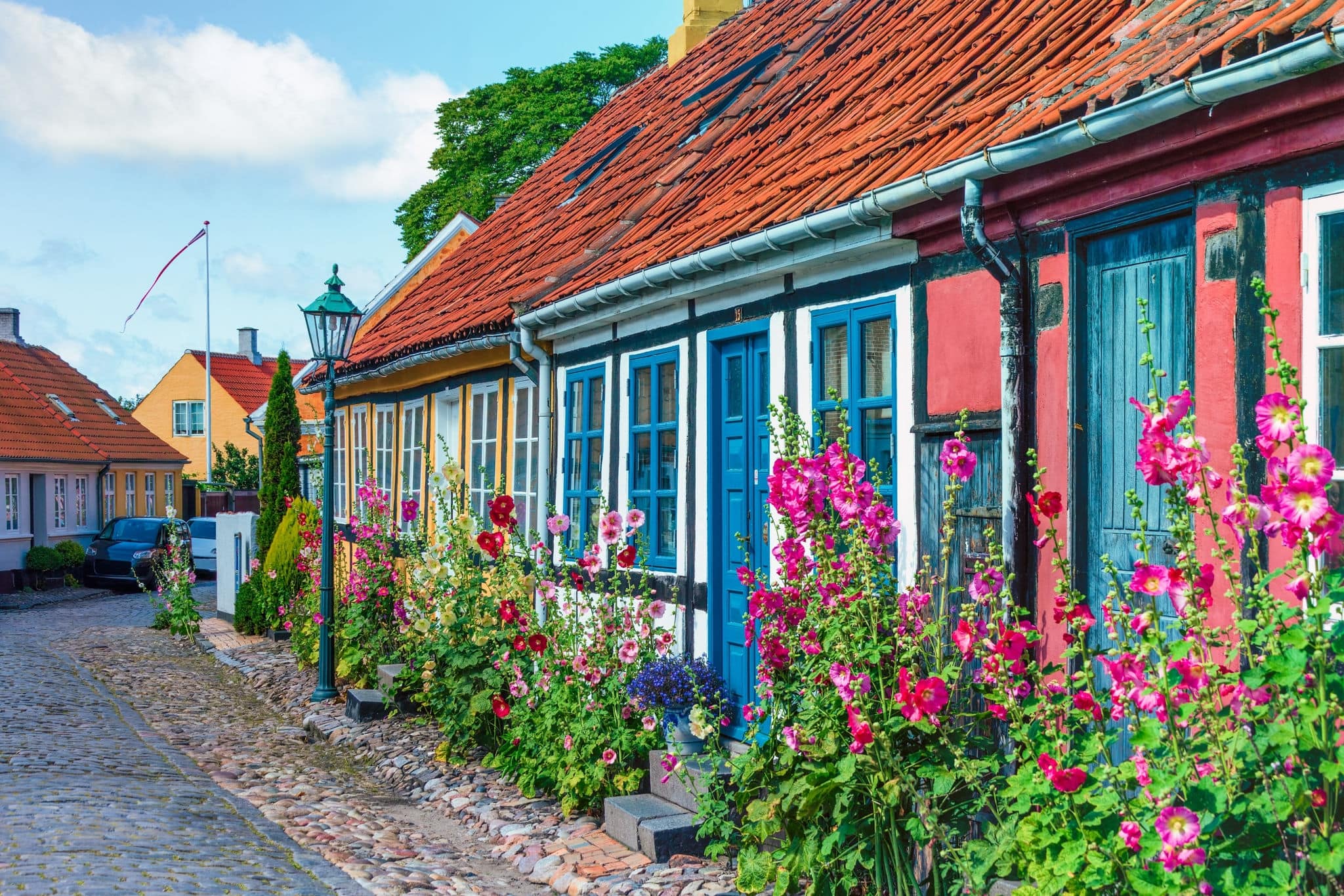 View of traditional town streets growed by colorful hollyhock flowers in Ronne , Bornholm island, Denmark.