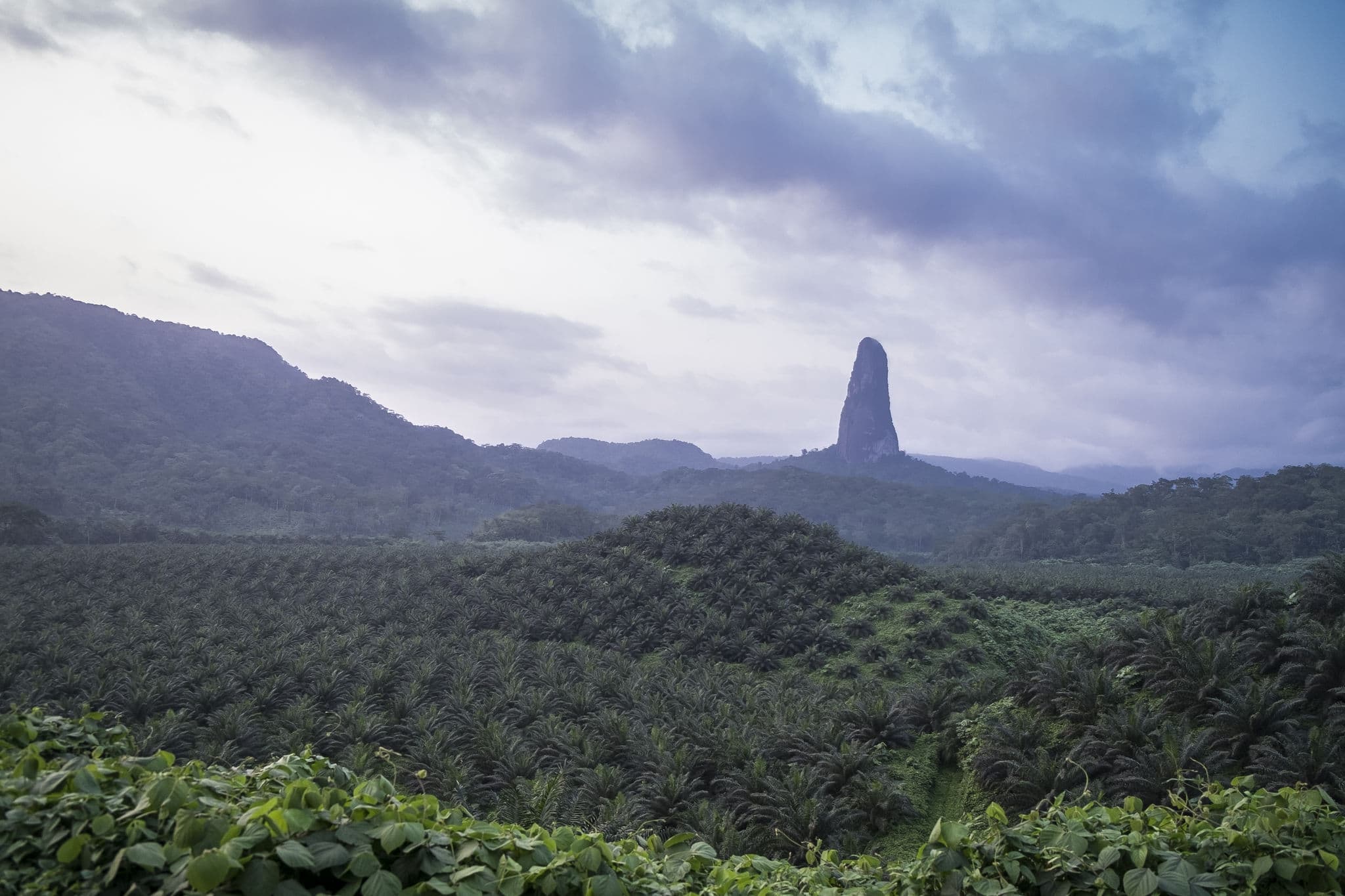 Rainforest of Sao Tome, with great mountain cao grande view.