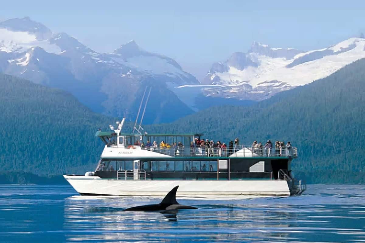 Family spotting dolphins during Alaska cruise excursion.