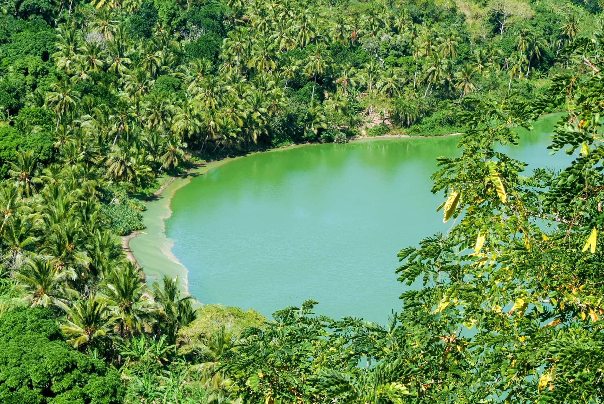 The volcano lake of Dziani on Mayotte island,France