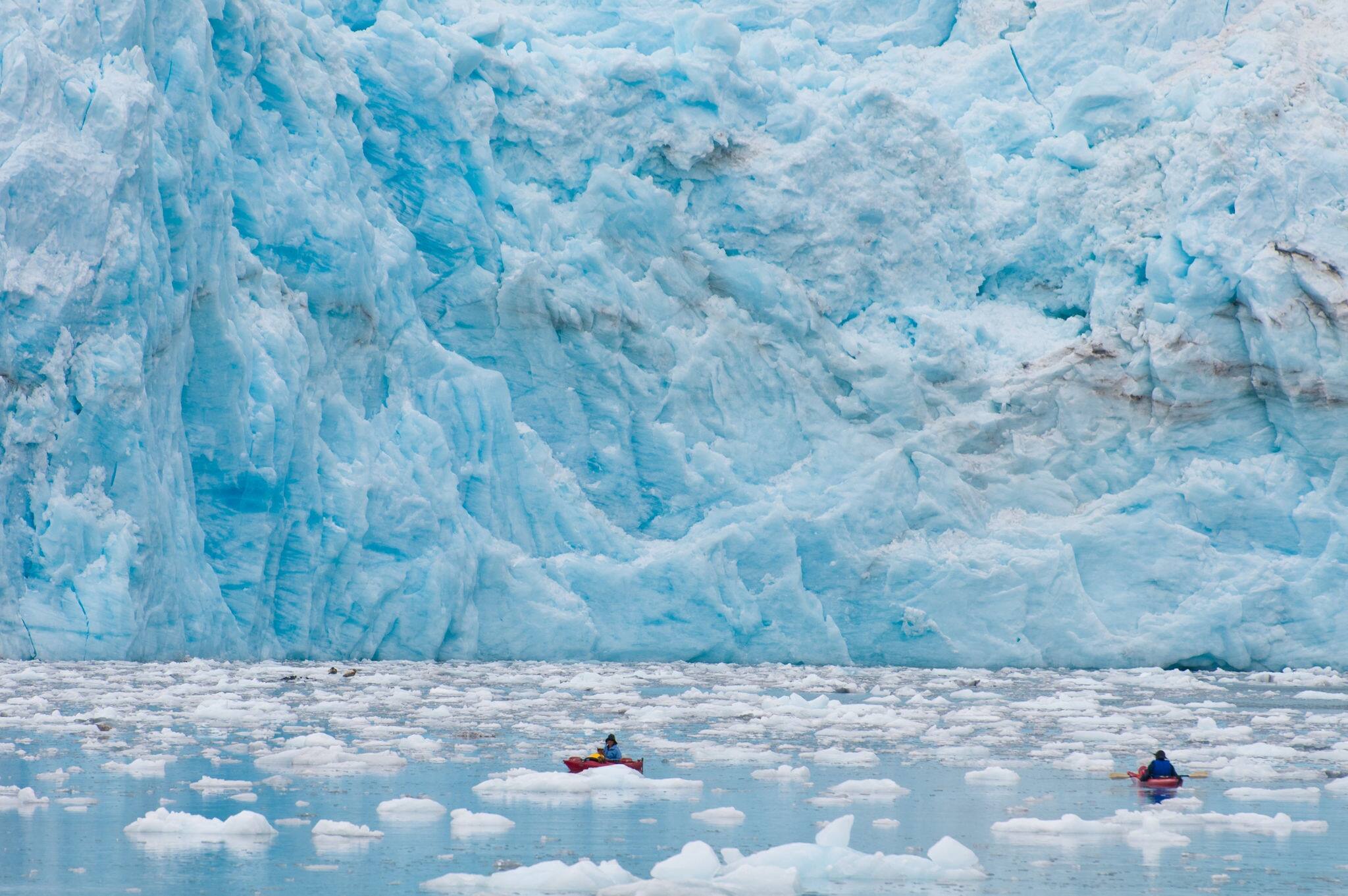 Kayaking near the foot of majestic Surprise Glacier.