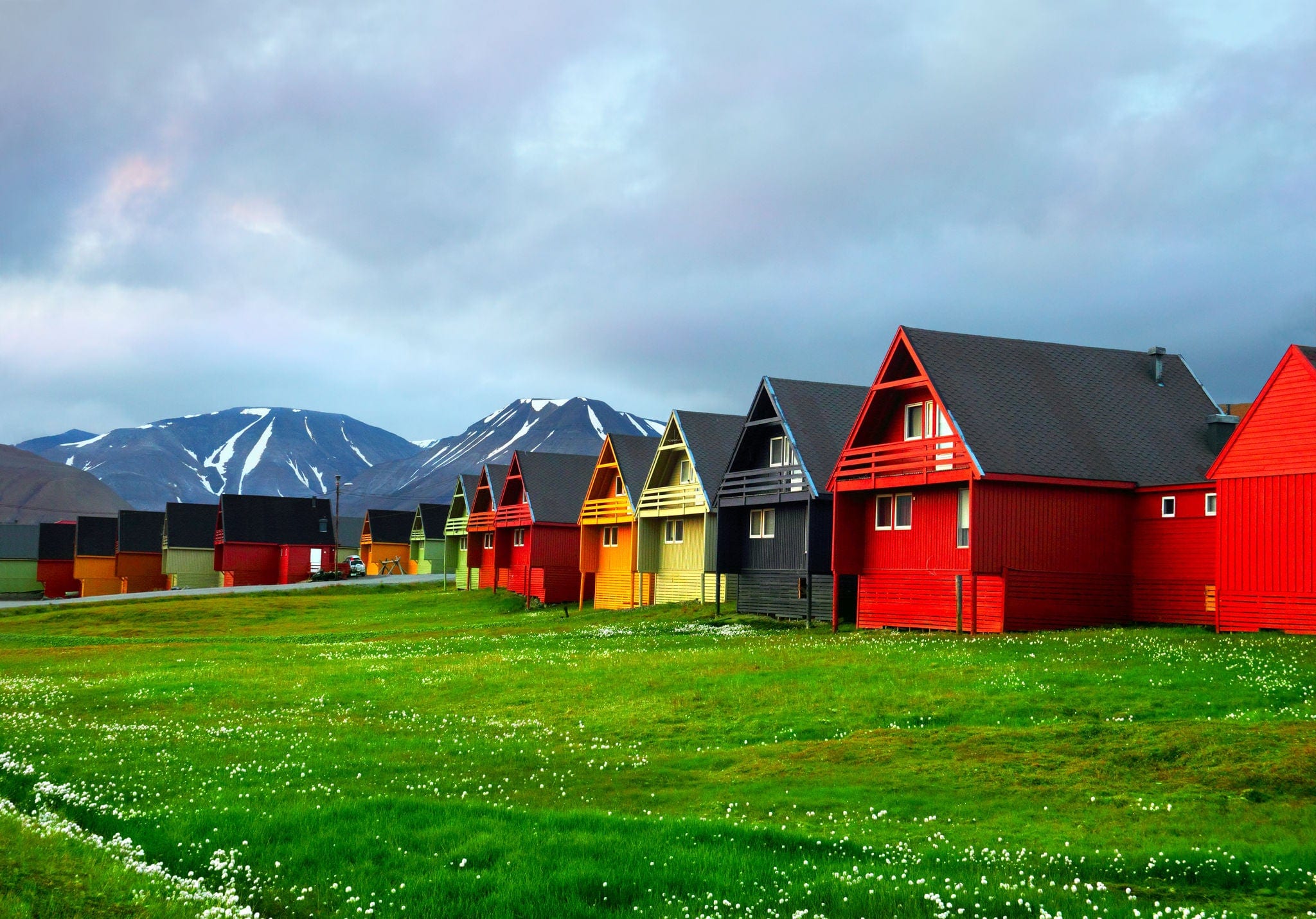 Idyllic scenic view, colorful houses and green field with arctic flowers against the background of dramatic sky and barren mountain in Longyearbyen, Spitsbergen archipelago (Svalbard), Norway, Europe