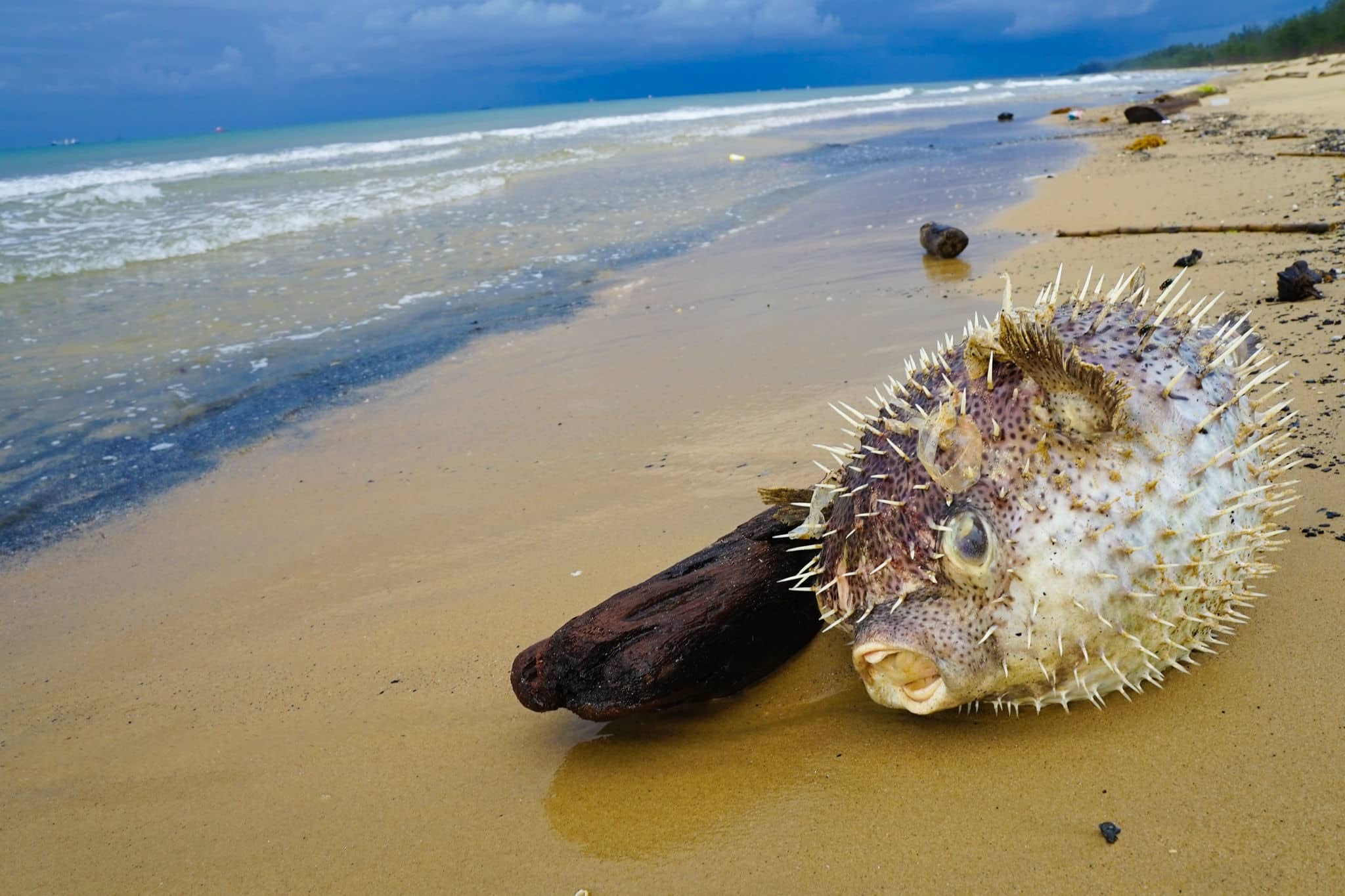 Muara Beach in  Brunei