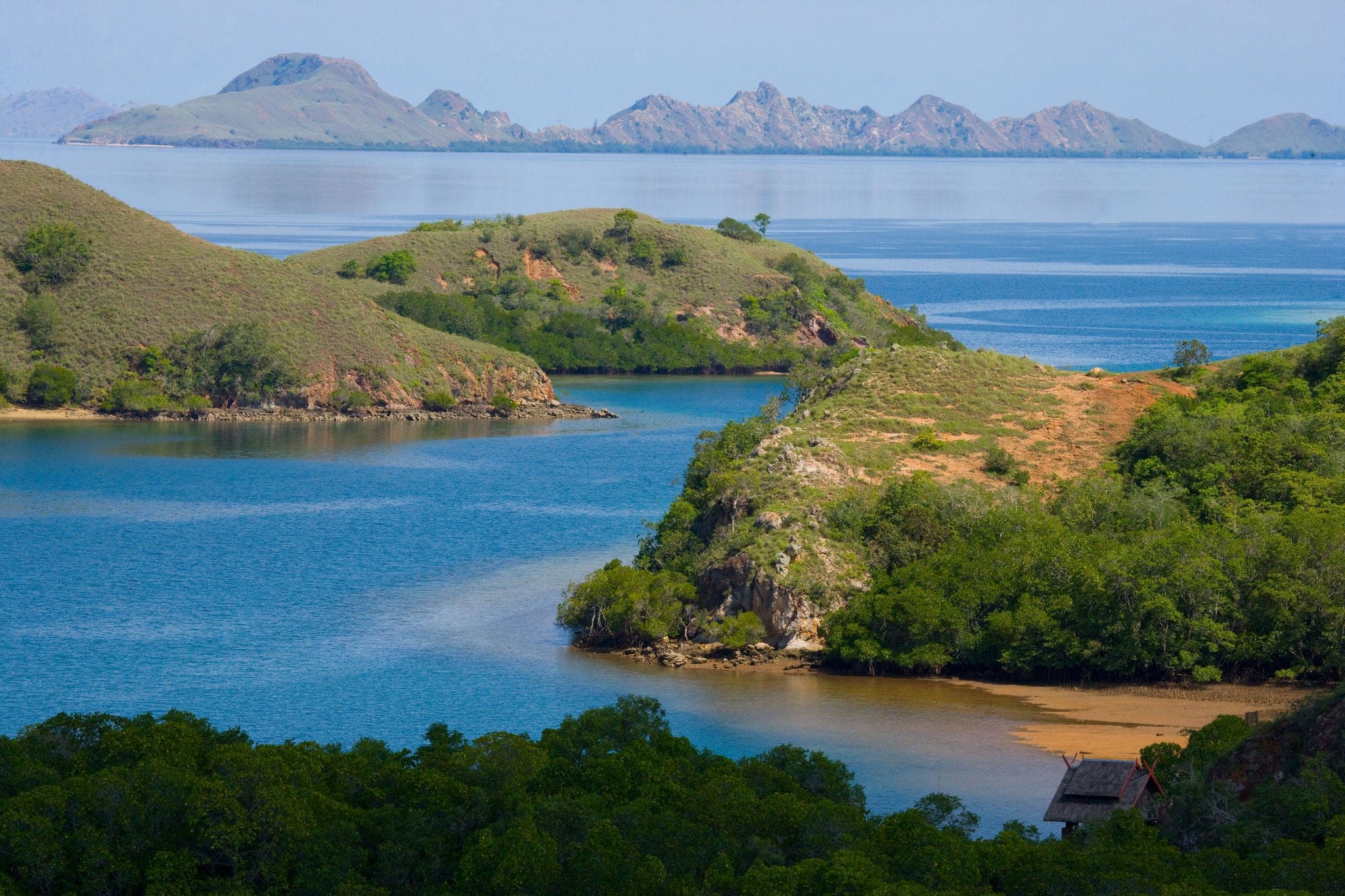 Islands and coves. Komodo National Park. Landscape. The island.