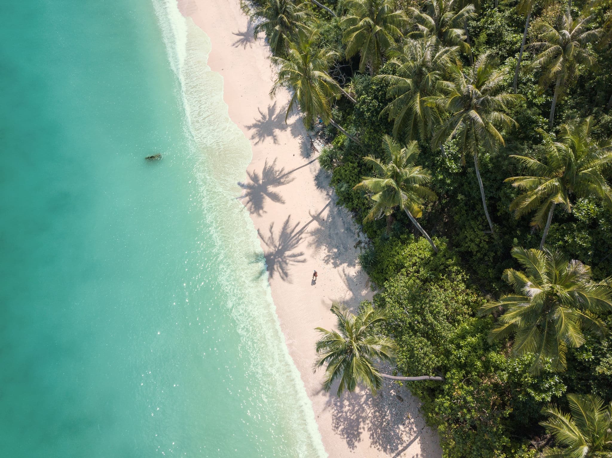 Scenic beach with coconut trees, near Sabang, Weh Island.