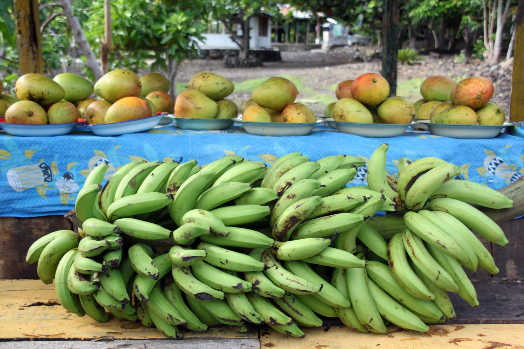 Tropical fruits on the stall near the road in Savaii, Samoa