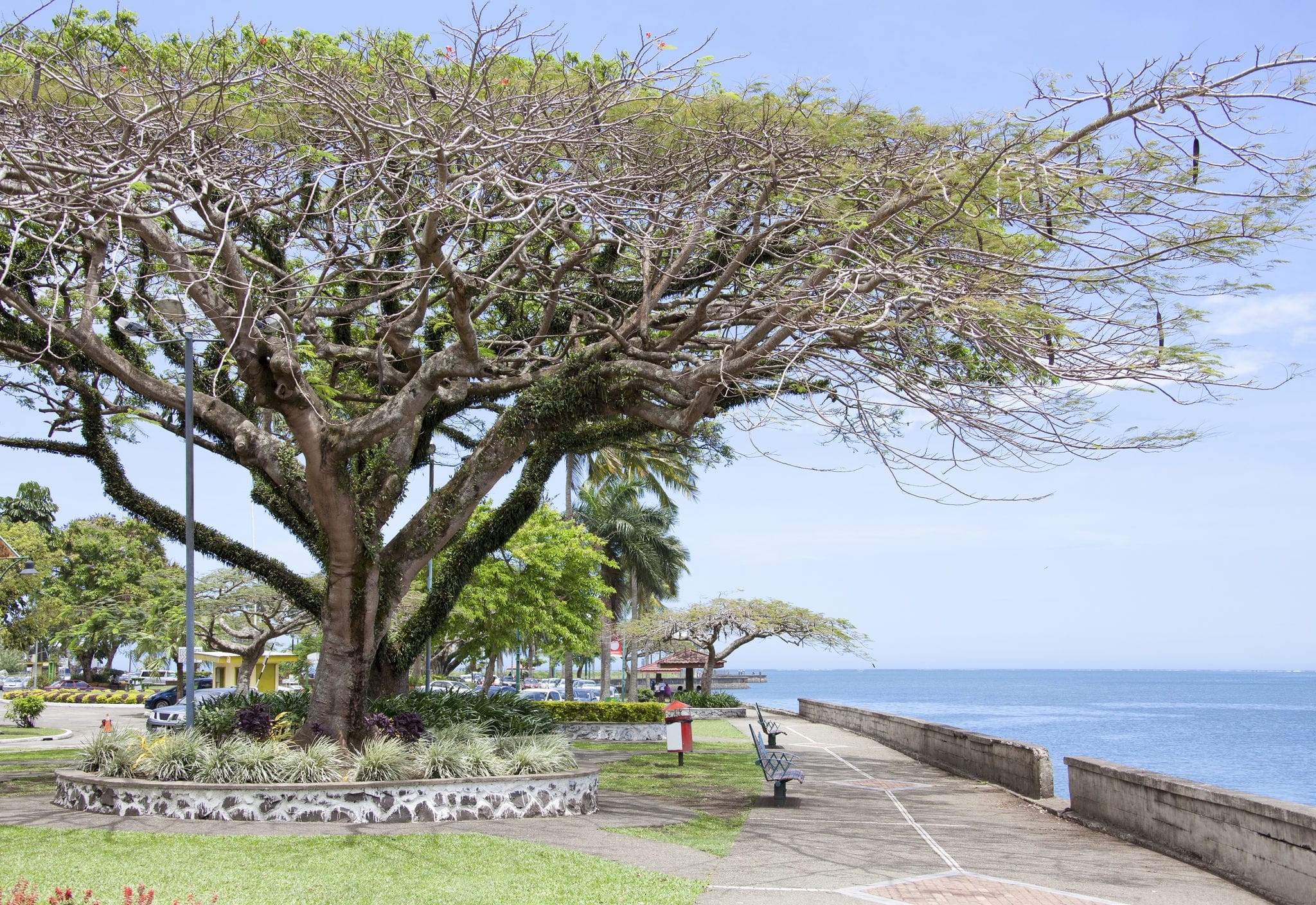 The park walkway along the shore in Suva, the capital of Fiji.