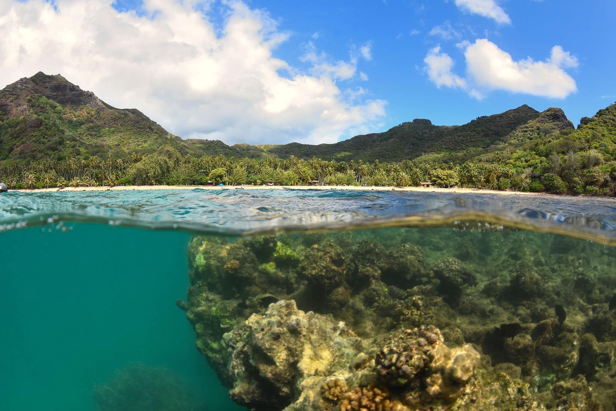 Underwater landscapes of anaho bay - nukuk hiva - marquises islands