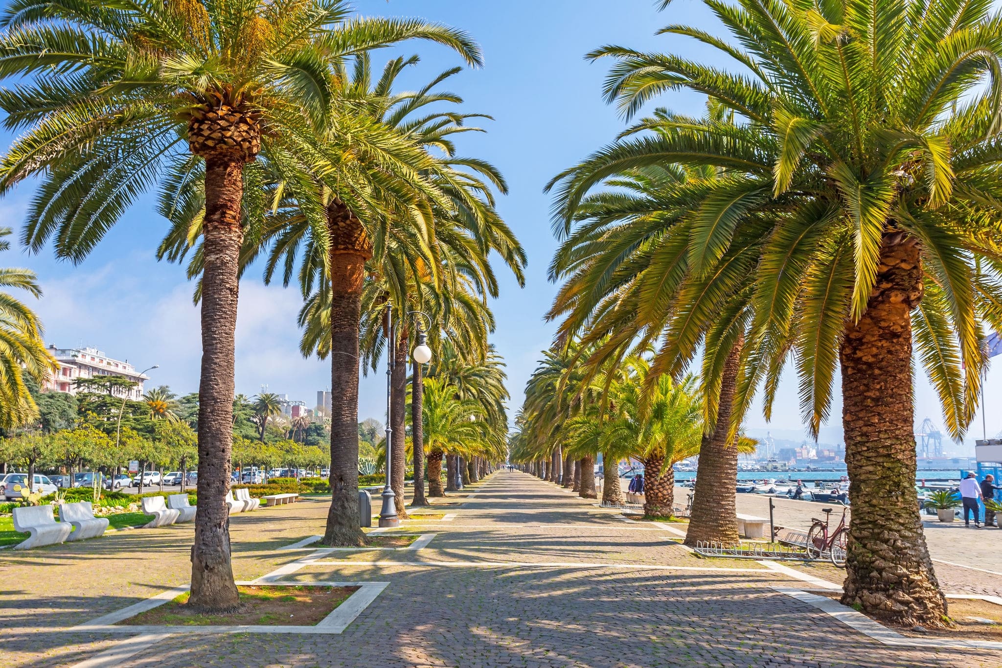 Promenade alley with palm trees in La Spezia, Italy