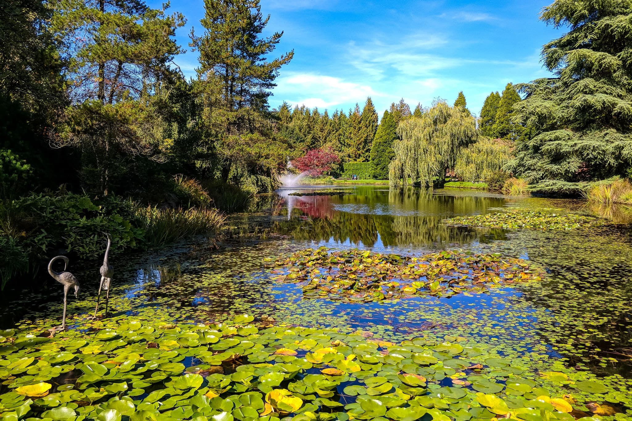 Beautiful VanDusen Botanical Garden in Vancouver, British Columbia