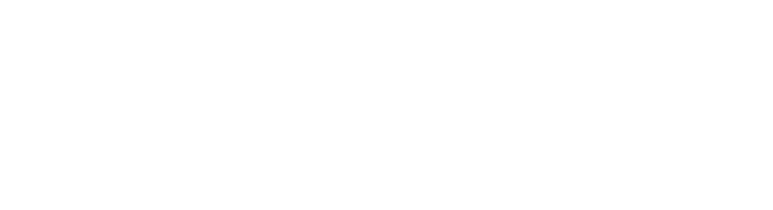 50% OFF All Cruises