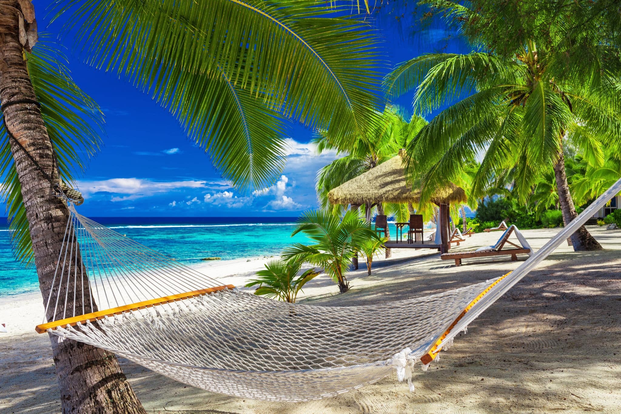 Hammock between palm trees on a vibrant tropical beach of Rarotonga, Cook Islands, South Pacific