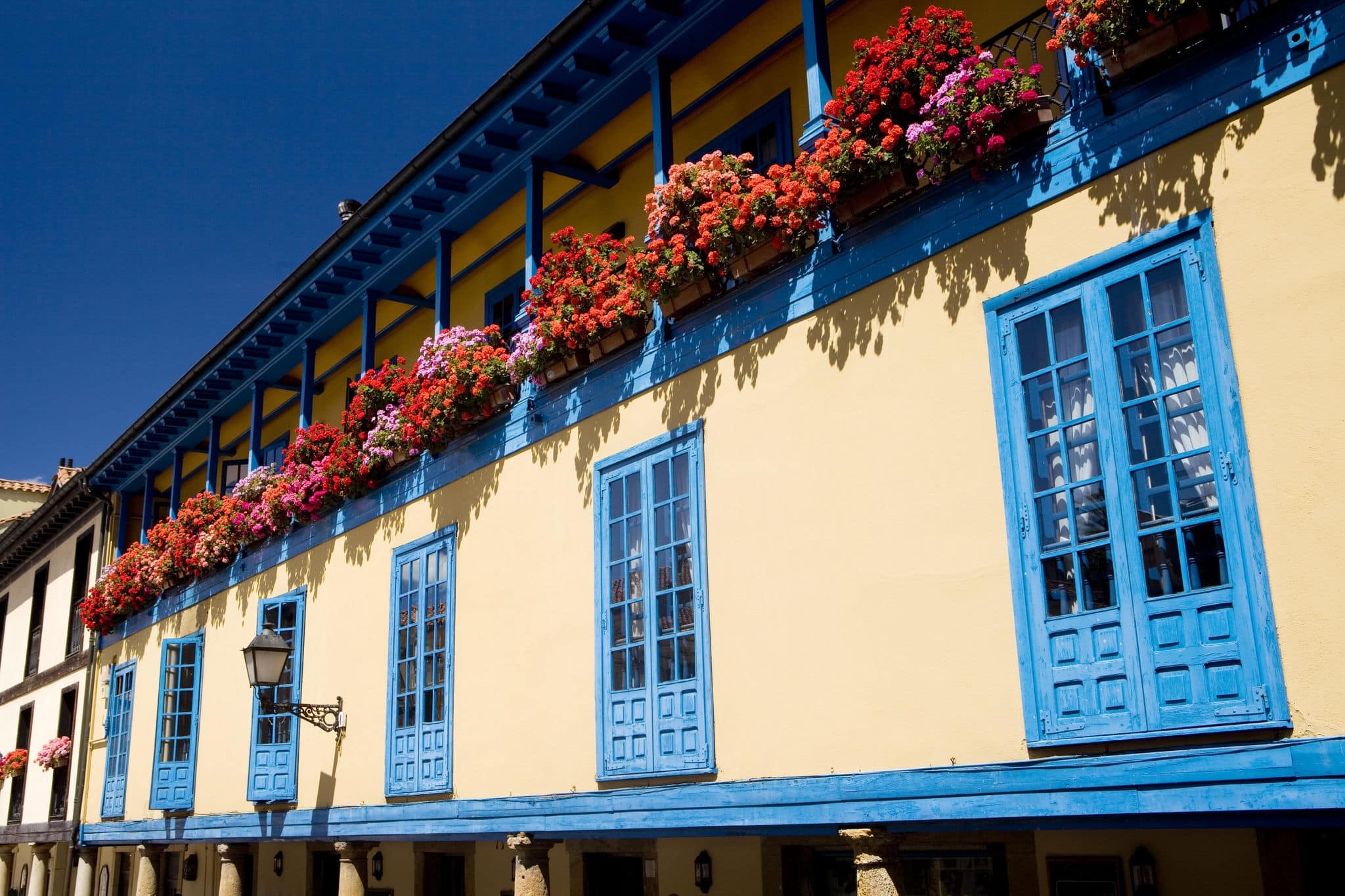 Horizontal view of a facade with blue windows and a lot of flowers in Oviedo, Asturias, Spain. Facade with flowers.