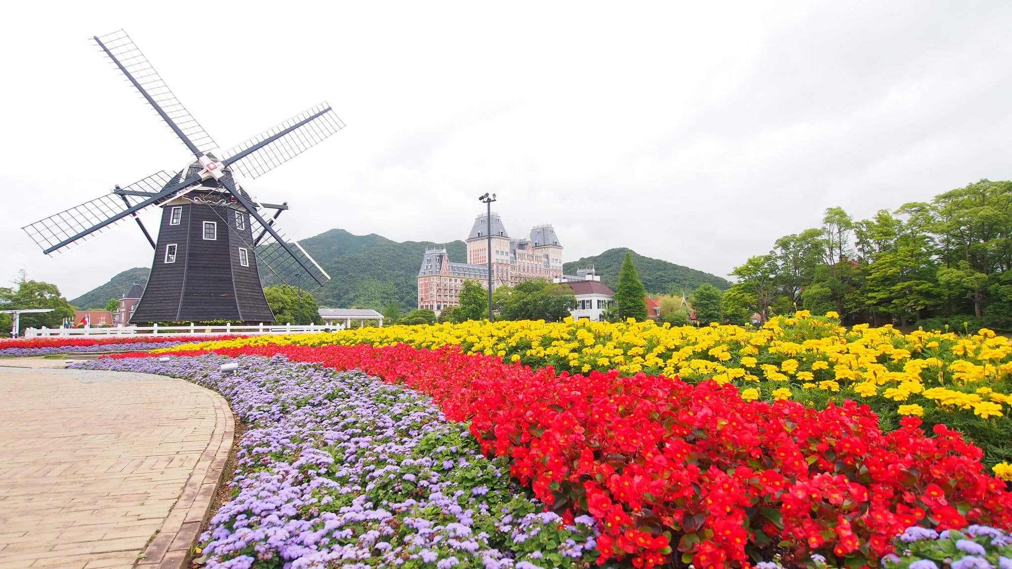 Colorful flower and windmill at Huis Ten Bosch Palace, Sasebo, KYUSHU, JAPAN