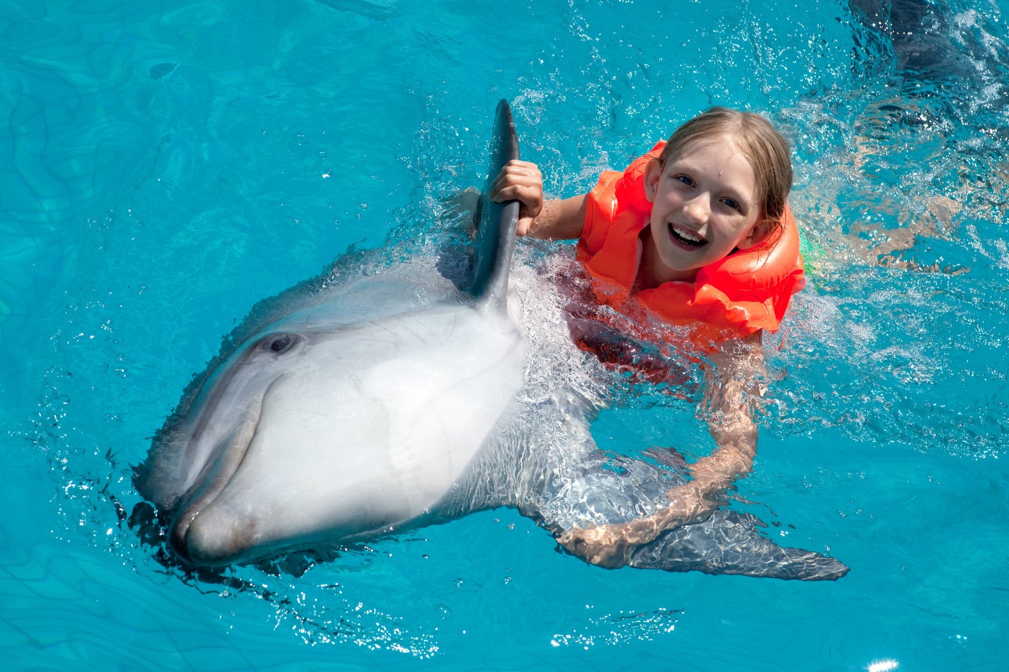 Little Smiling Girl Swimming with the Dolphin in the Swimming Pool in the Bright Sunny Day
