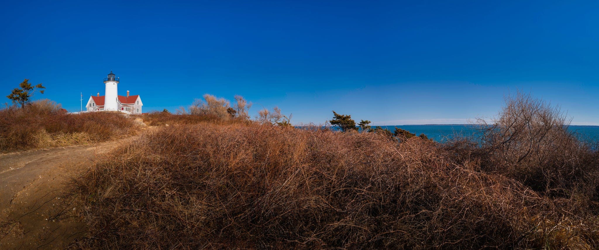 Seascape with a white lighthouse over the hill of the wild plant bushes and vines. Blue sky and brown rosehip bushes at dusk in Woods Hole in Massachusetts.