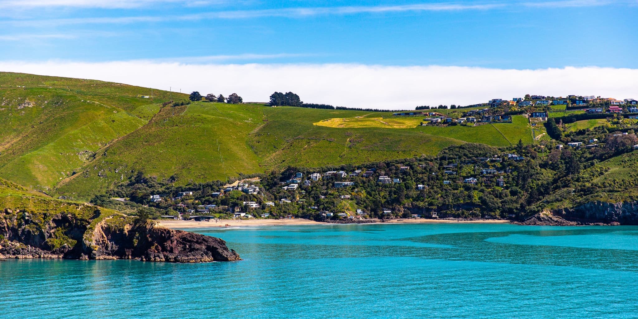 panorama of beautiful taylors mistake beach seen from the godley head walkaway, christchurch, canterbury, new zealand