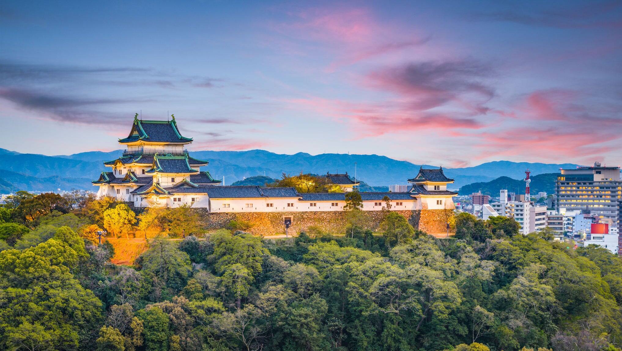 Wakayama City, Japan castle park and downtown cityscape at dusk.