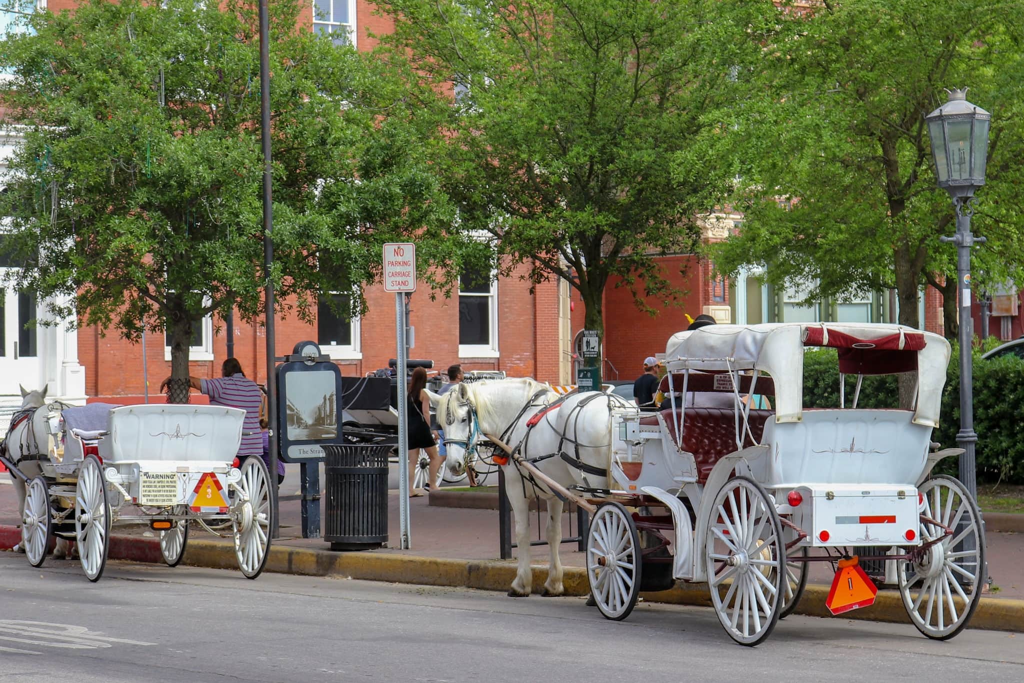Horse and buggy ride on the Strand in Galveston Texas. The white horse carriage awaits the next passenger to give people a tour of the port city of Galveston.