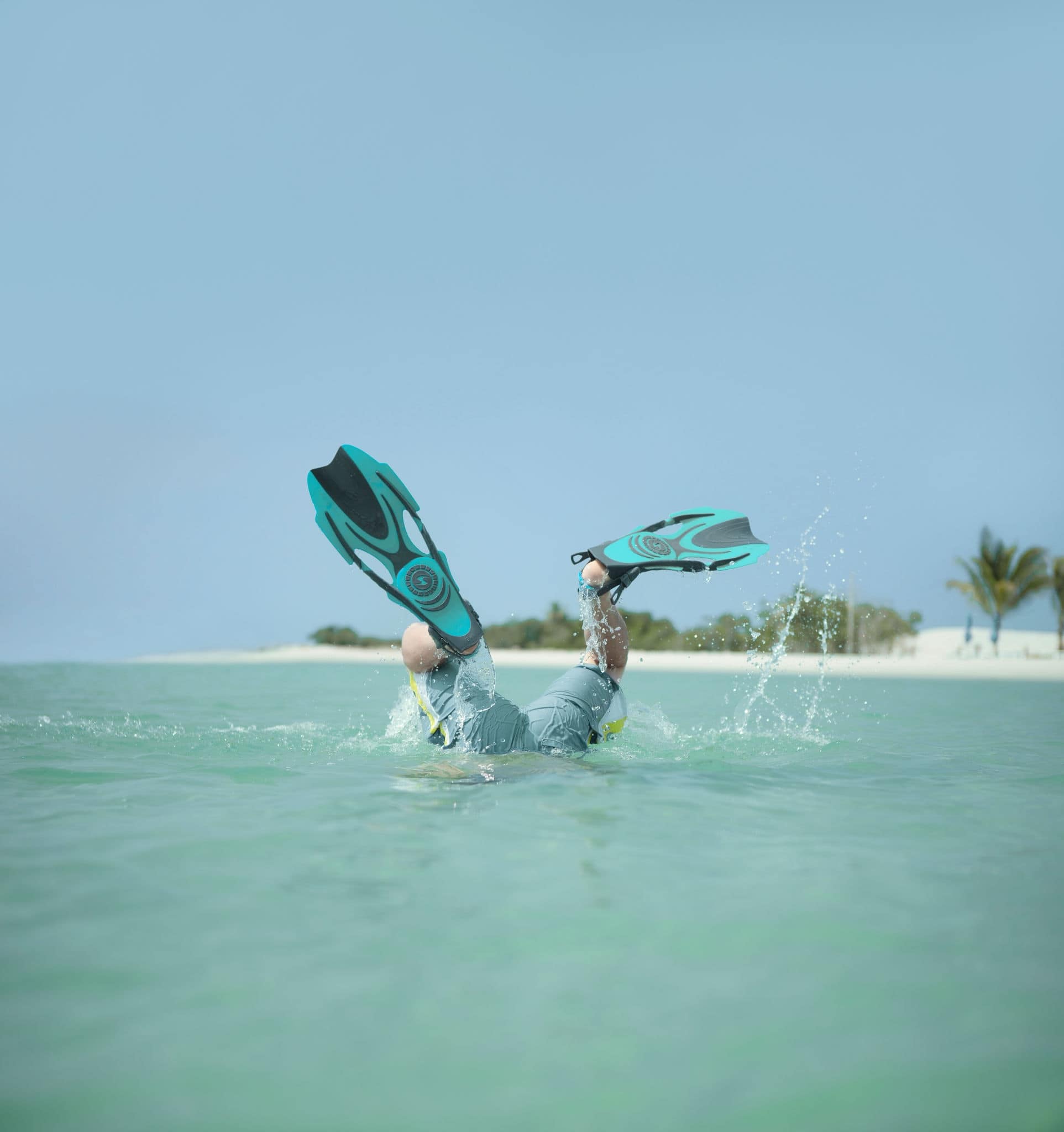 Diving with flippers breaching tropical waters.