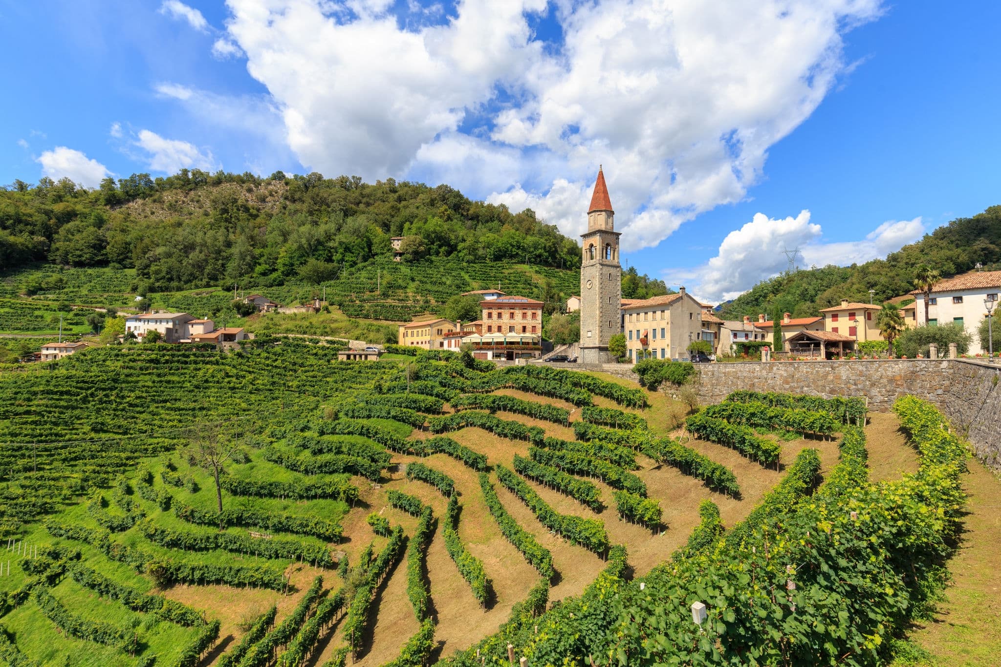 NCL-Veneto-Italy-Cruise-Vineyard-Blog