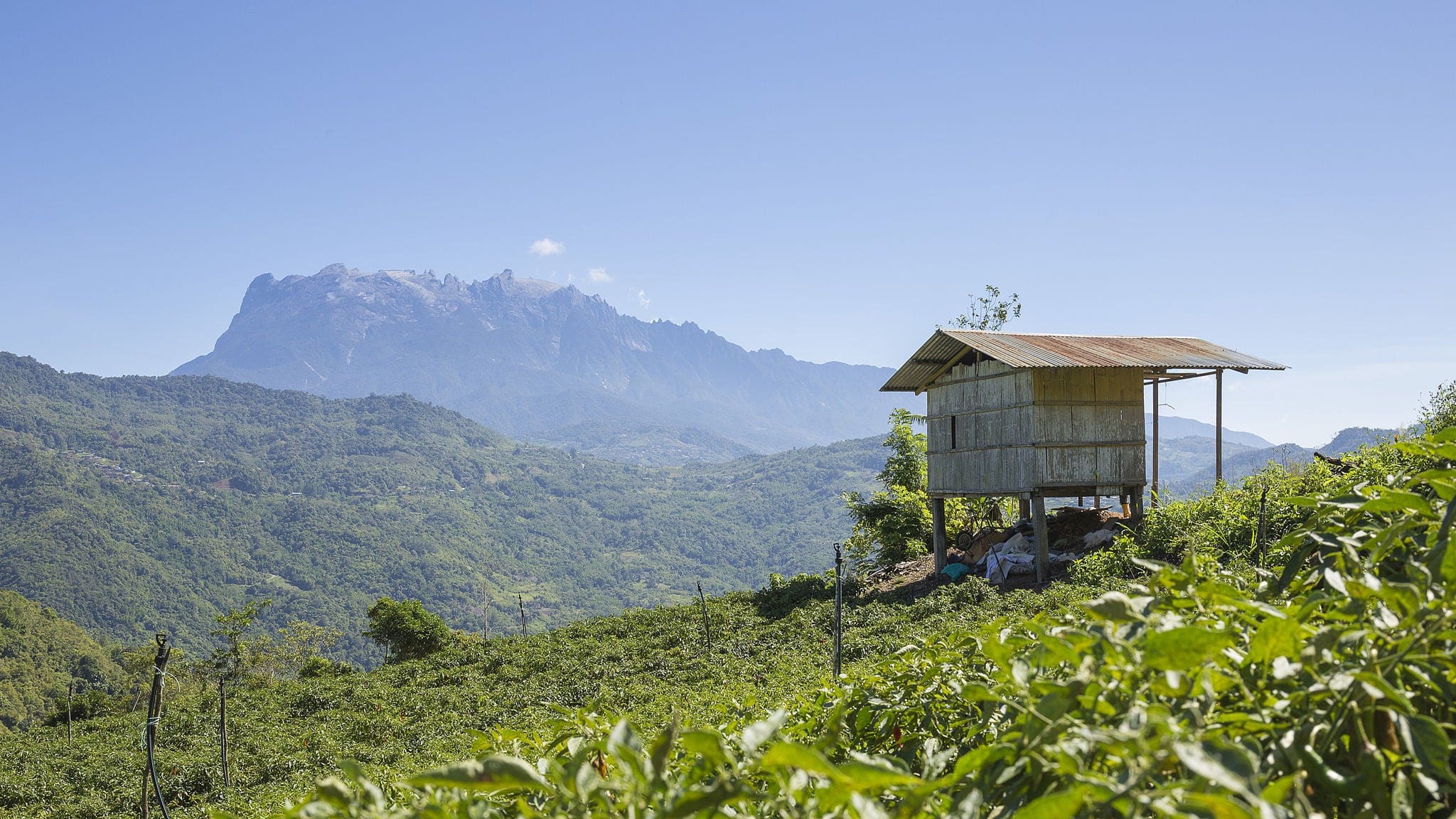 small hut over the hill with the view of mount kinabalu in the background