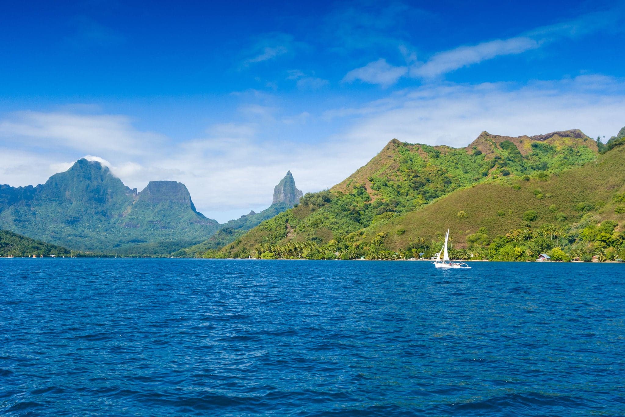 Polynesia Island. Ocean and forest.