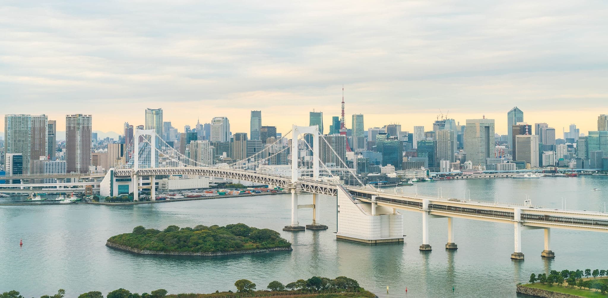 Tokyo skyline with Tokyo tower and rainbow bridge. Tokyo, Japan.