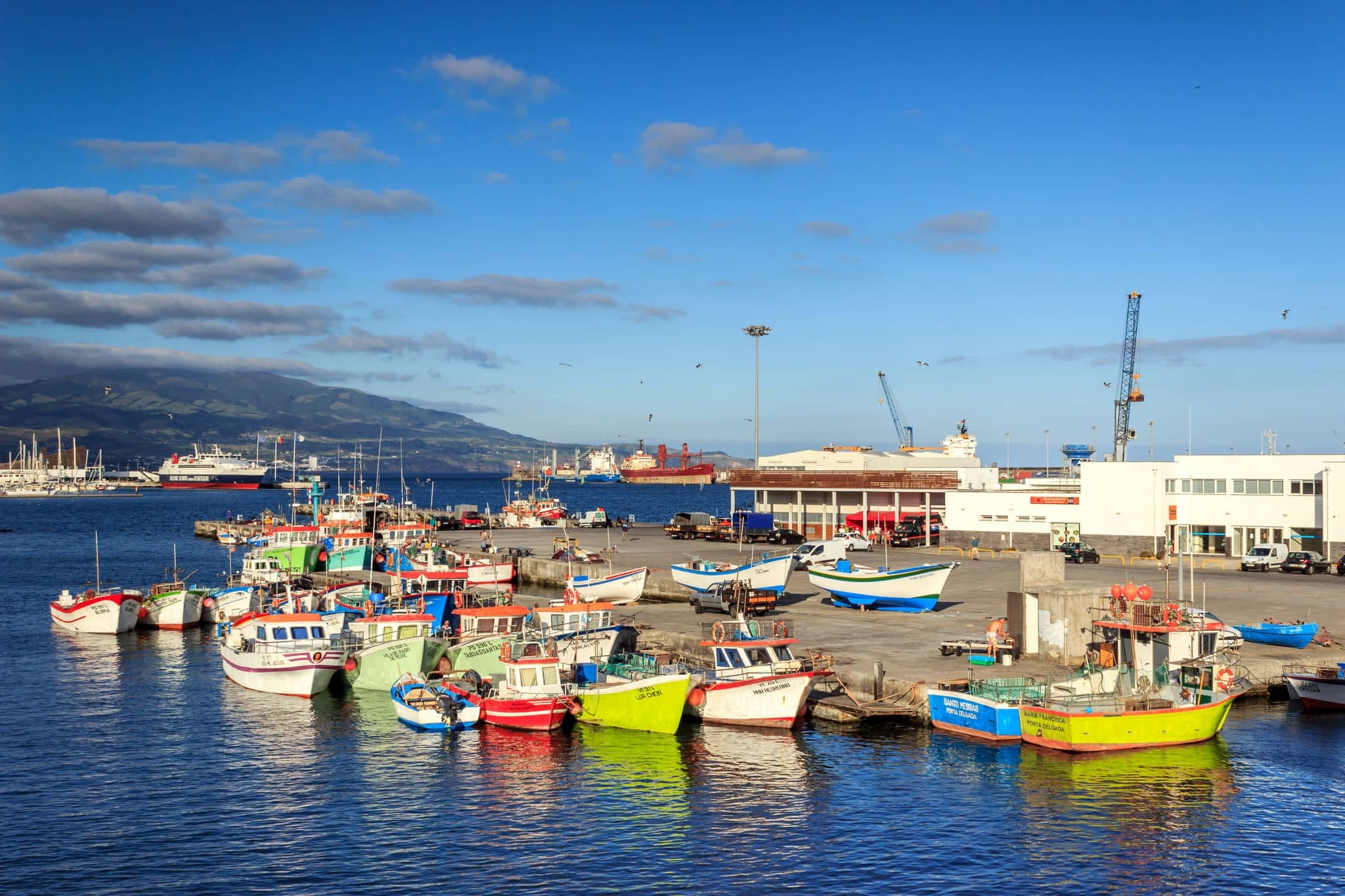 Amazing Azores, Sao Miguel island fishing harbor