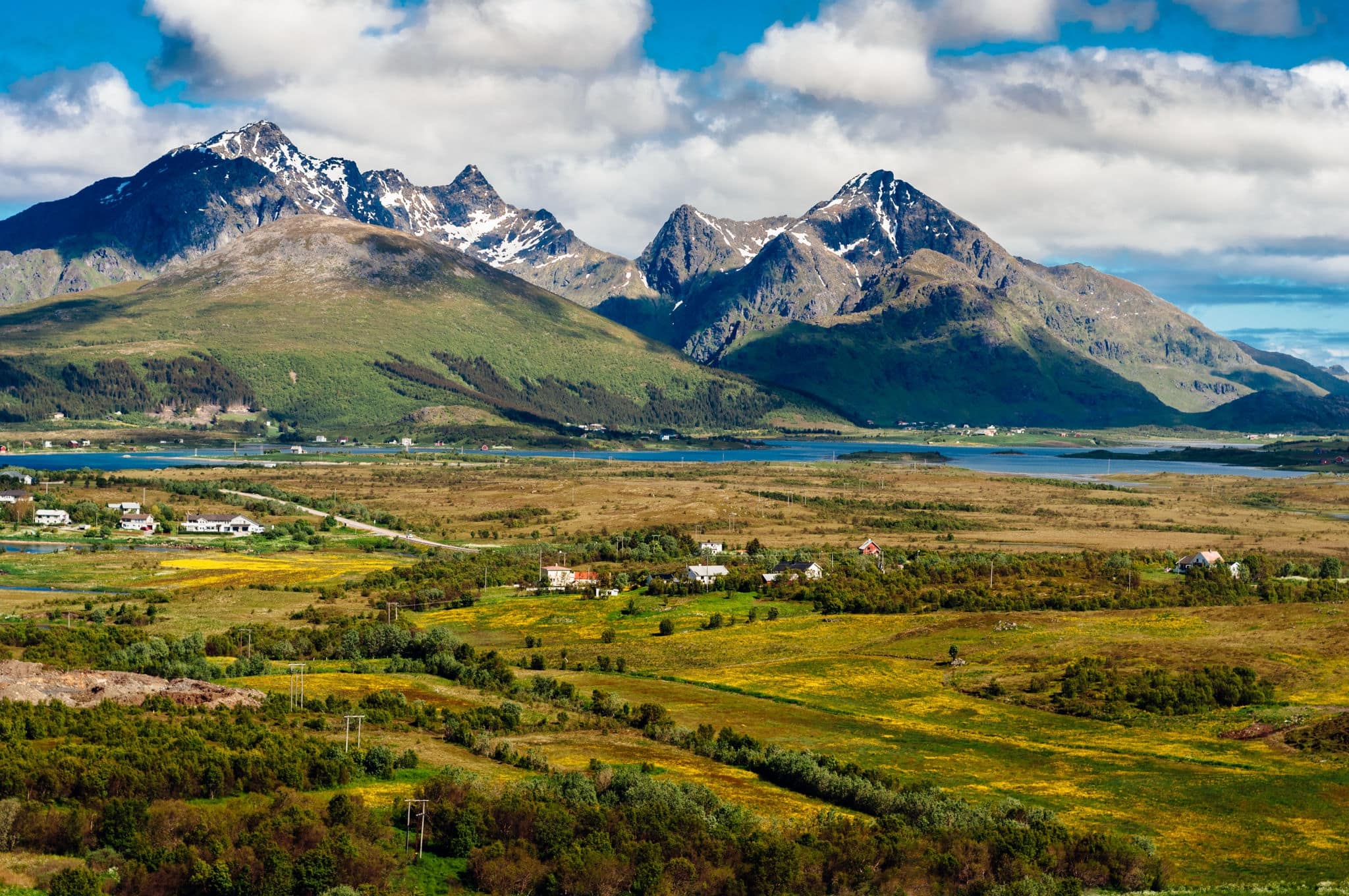 Field in bloom near mountains and cabins of Leknes city, Norway