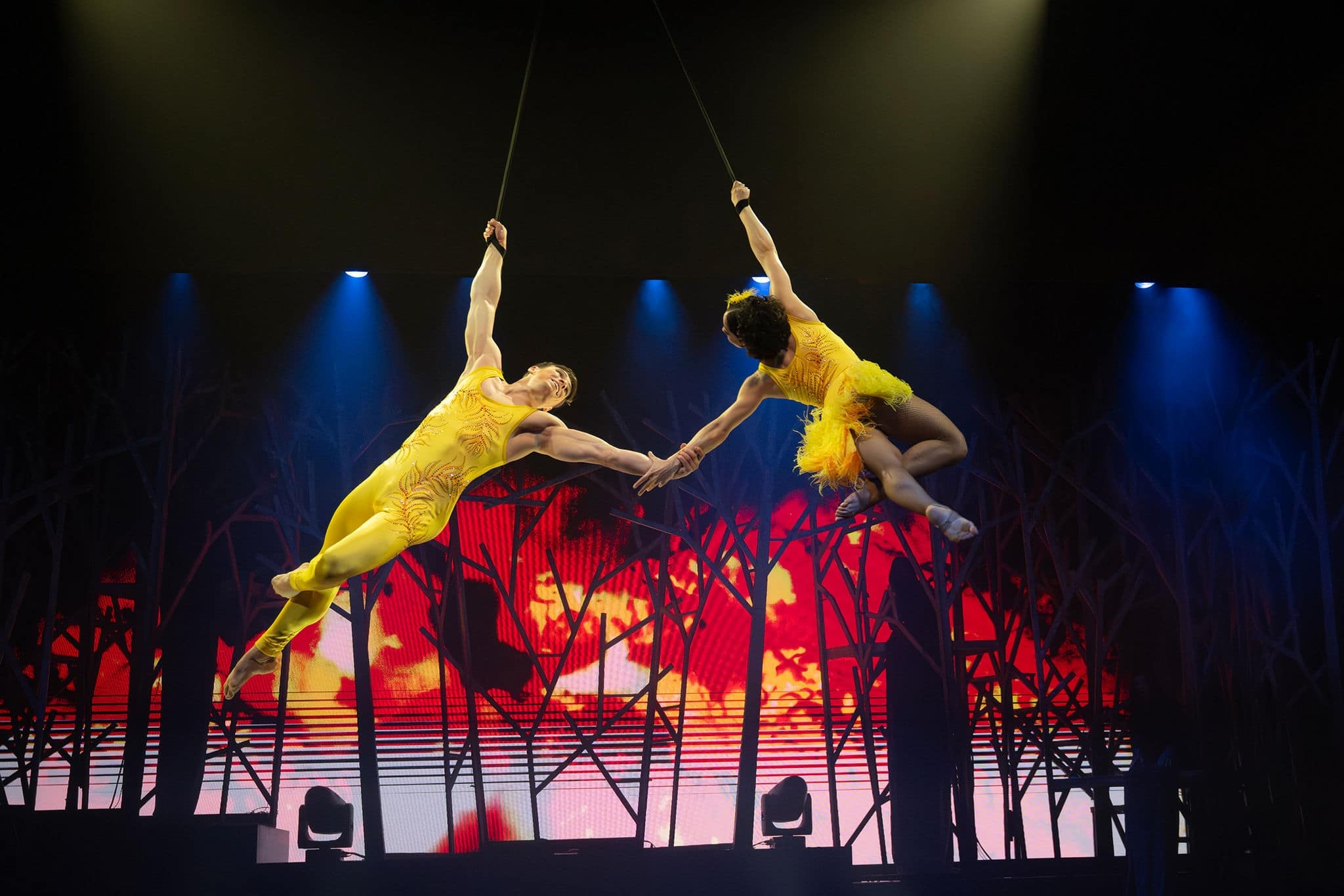 Aerial Couple in Elements Show