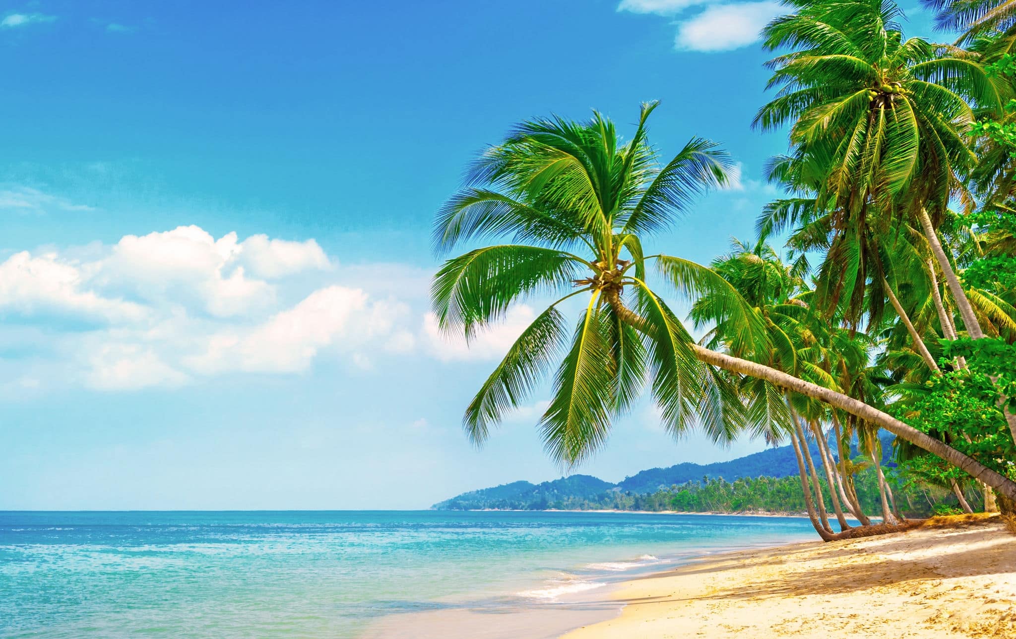 Beautiful beach. View of nice tropical beach with palms around. Holiday and vacation concept.  Tropical beach.