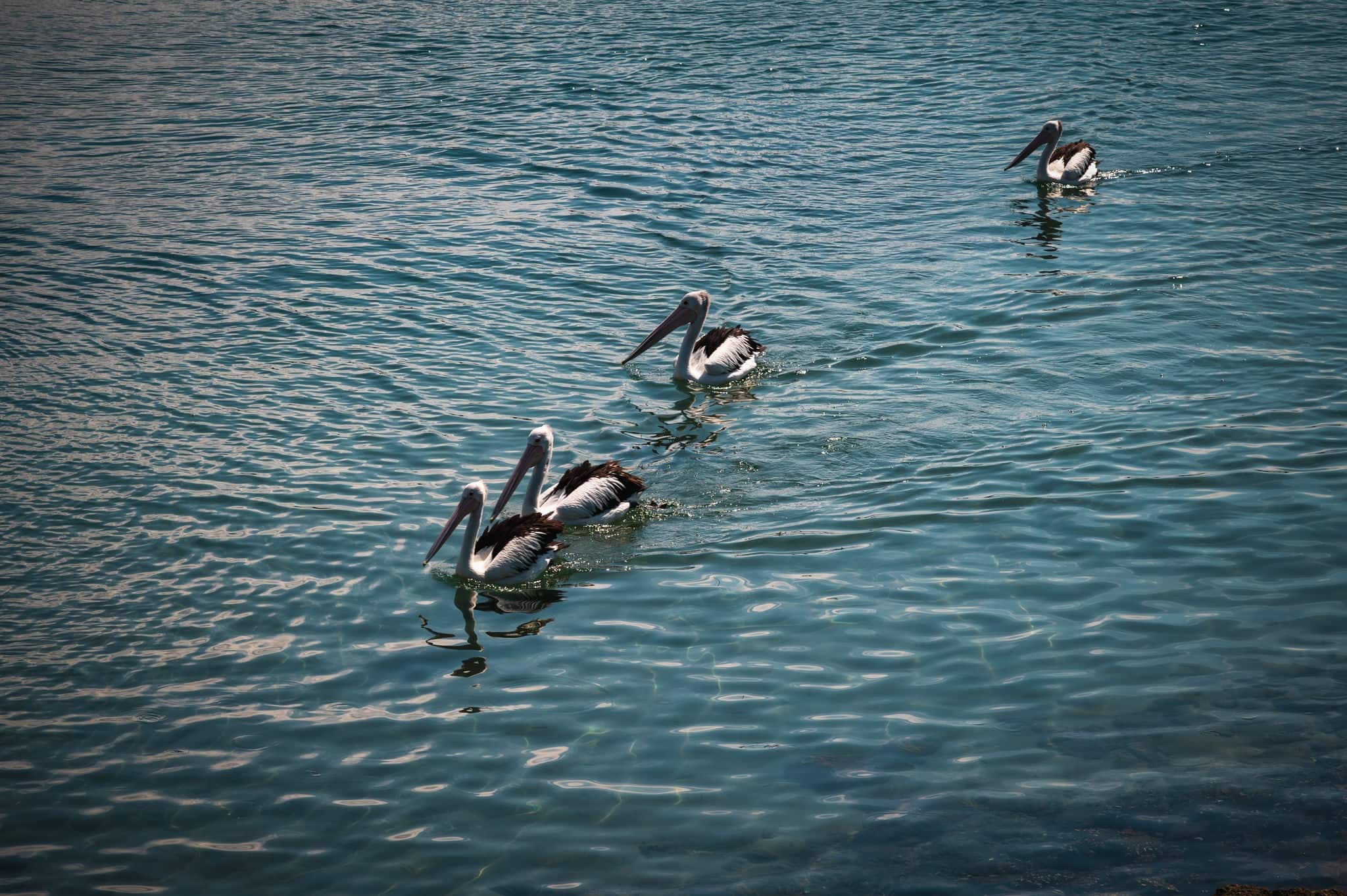 Scenic view of sea against sky-Port Kembla Outer Harbour Boat Ramp