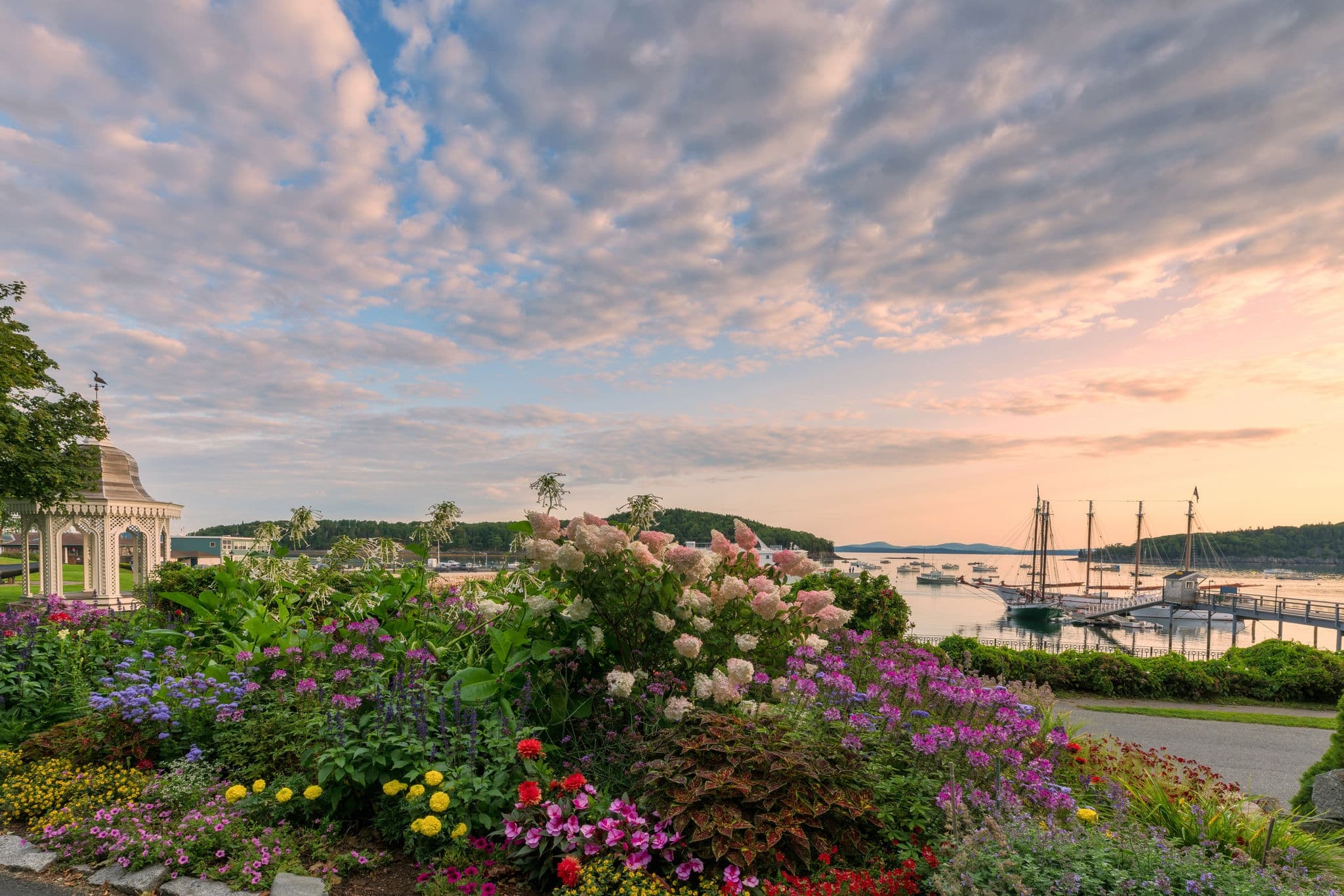 Bar Harbor in the summer with blooming flowers at sunrise