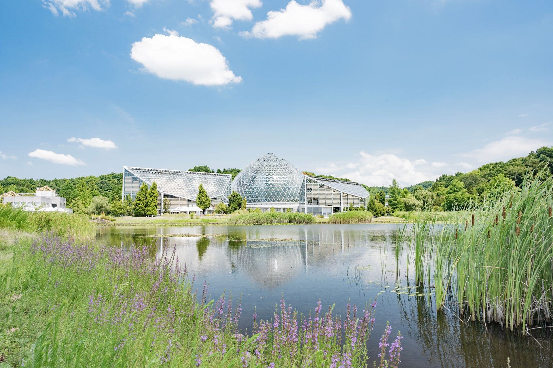 Niigata Prefectural Botanical Gardens View of Niigata Prefecture, Japan