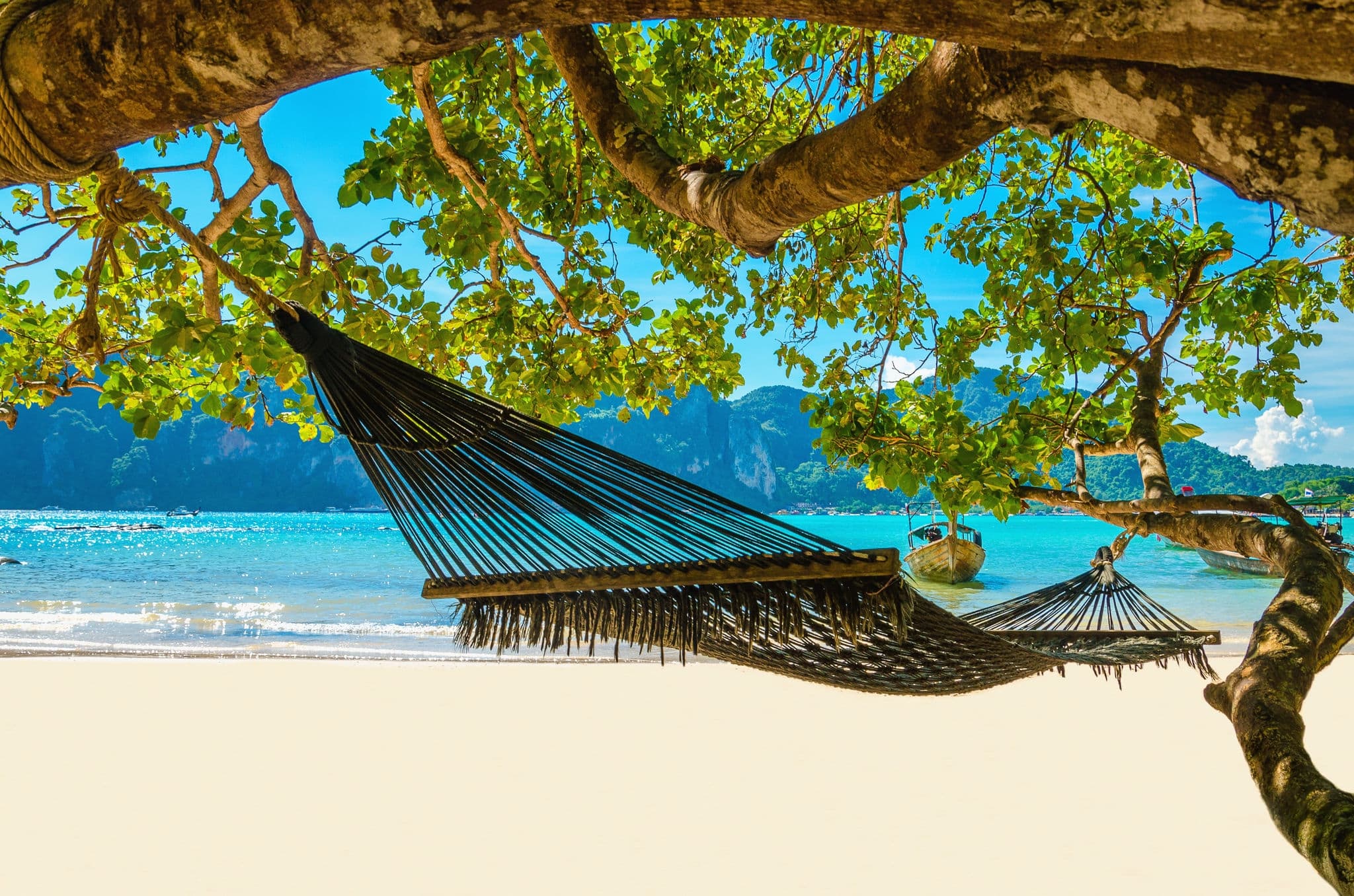 Hammock hanging between exotic trees at the sandy beach and sea coast