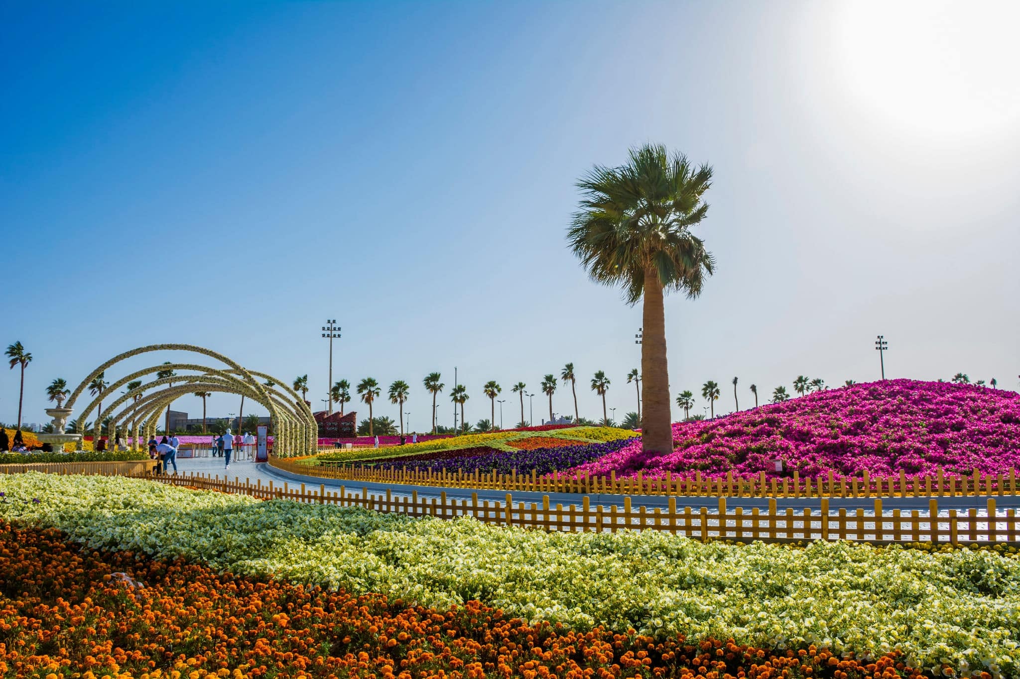 Flower carpet in Yanbu flower show, The Yanbu Flower Festival is one of the biggest festivals in Saudi Arabia. In the 2017 edition of it they managed to make the largest carpet of flowers/plants
