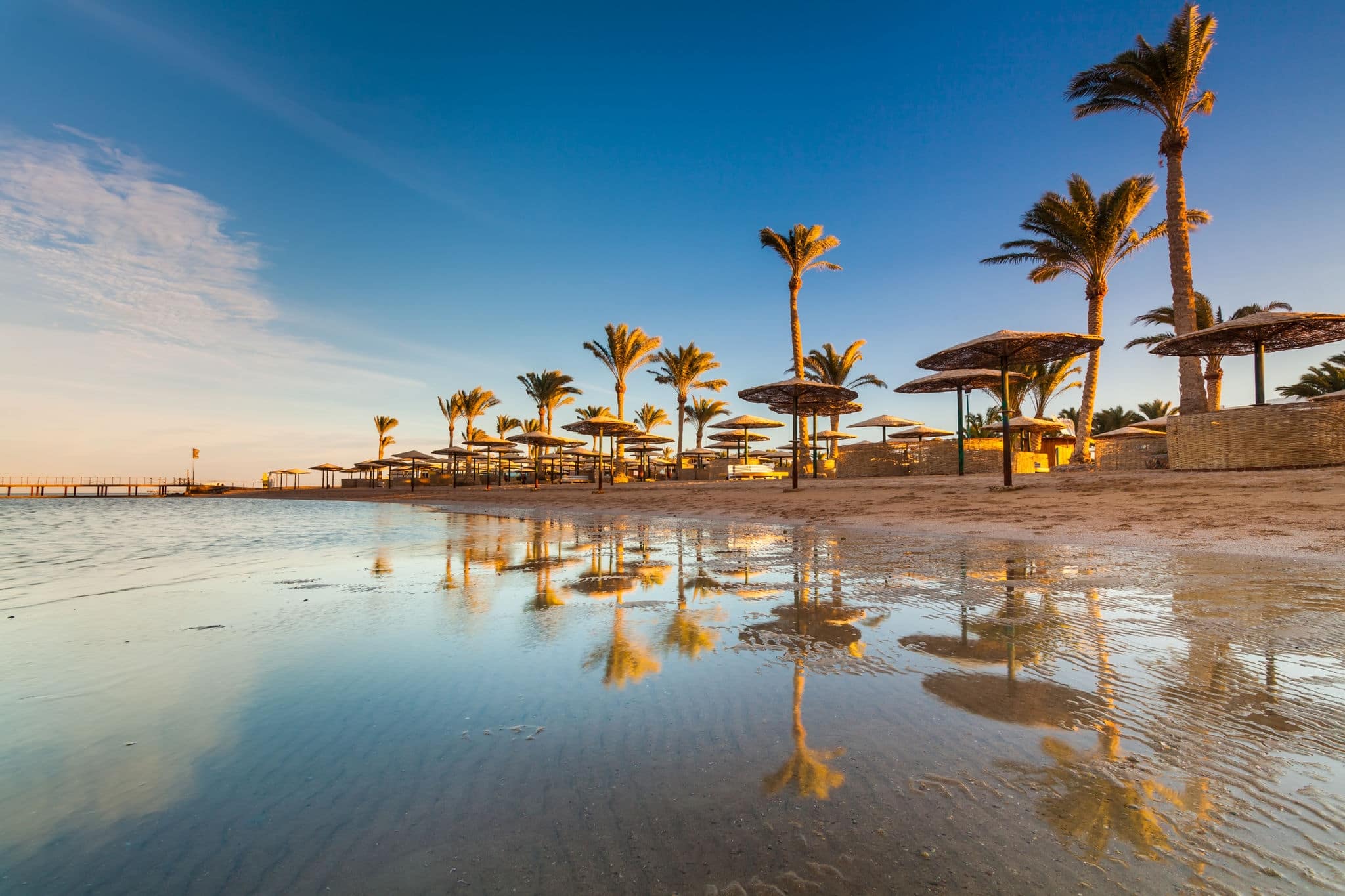 Beautiful sandy beach with palm trees at sunset. Egypt