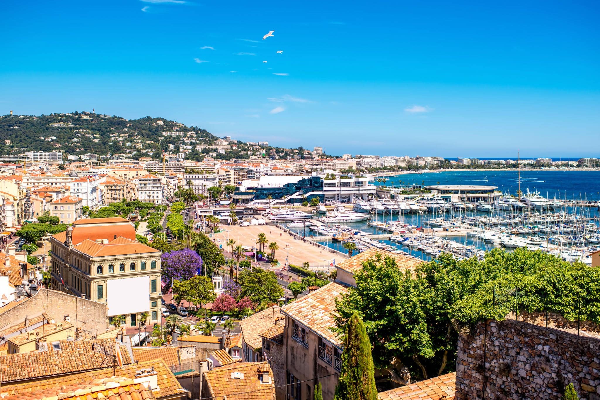 Top cityscape view on french riviera with yachts in Cannes city
