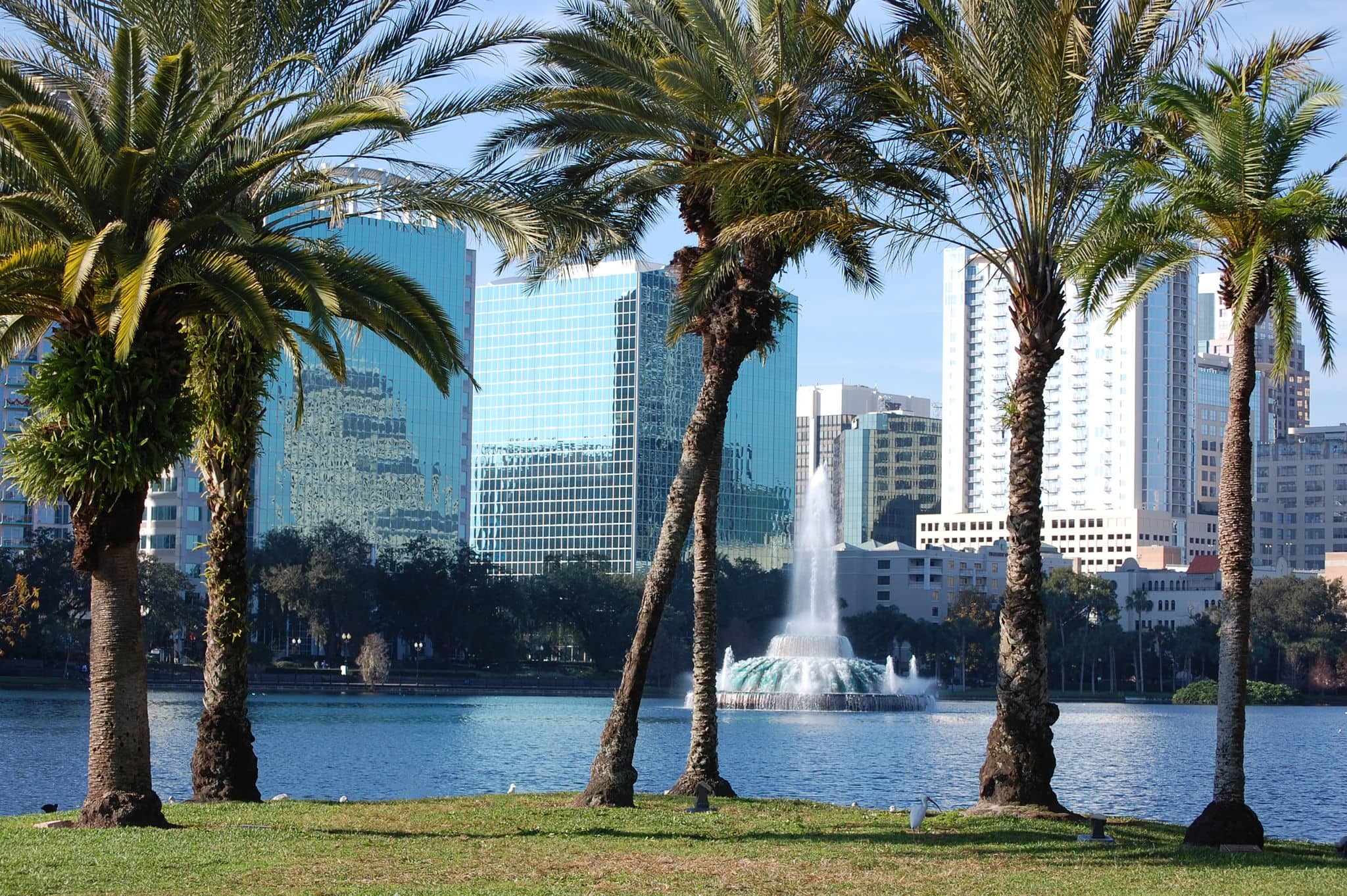 Orlando skyline from Lake Eola