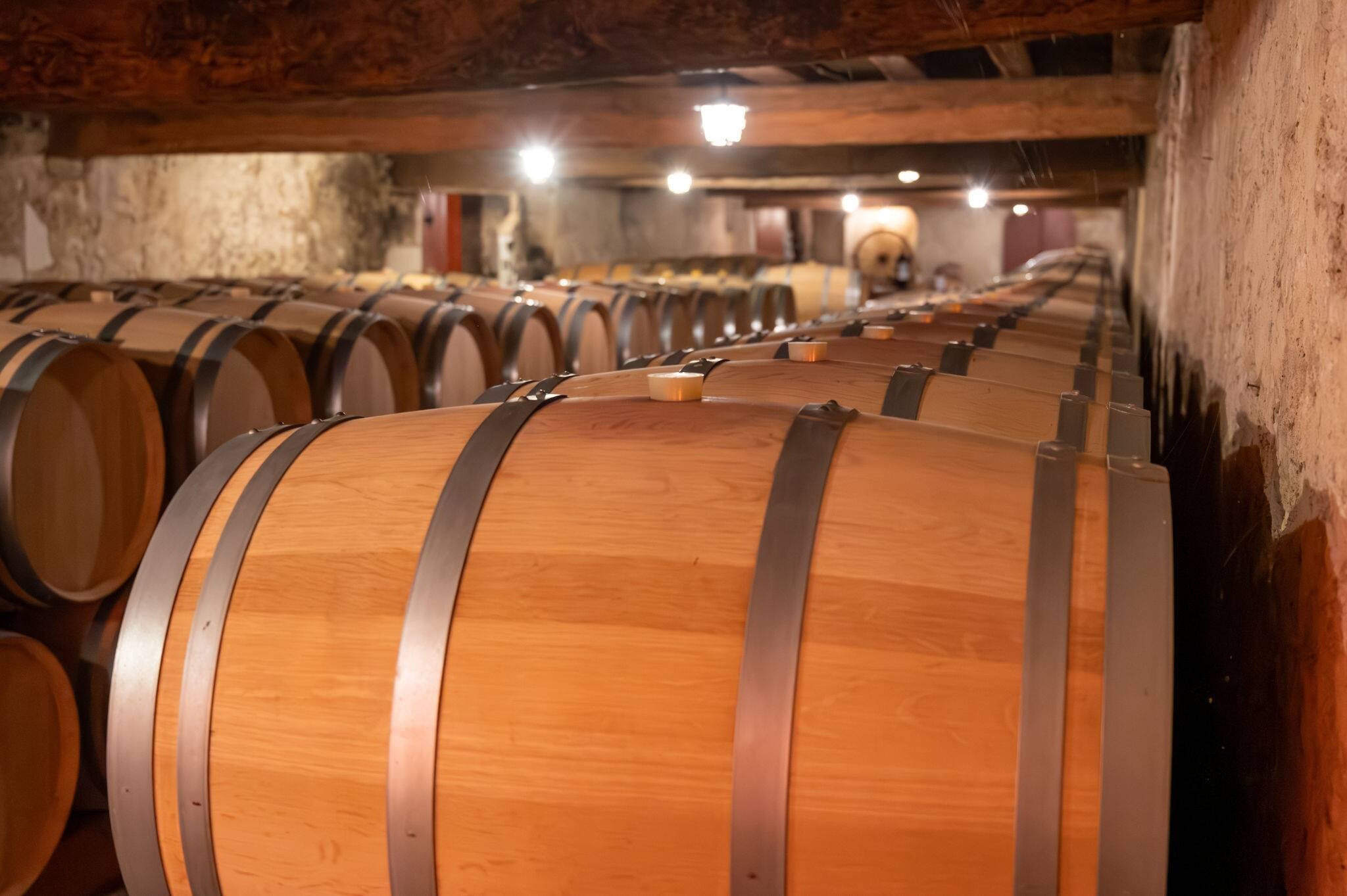 WIne celler with french oak barrels for aging of red wine made from Cabernet Sauvignon grape variety, Haut-Medoc vineyards in Bordeaux, left bank of Gironde Estuary, Pauillac, France, wine tasting