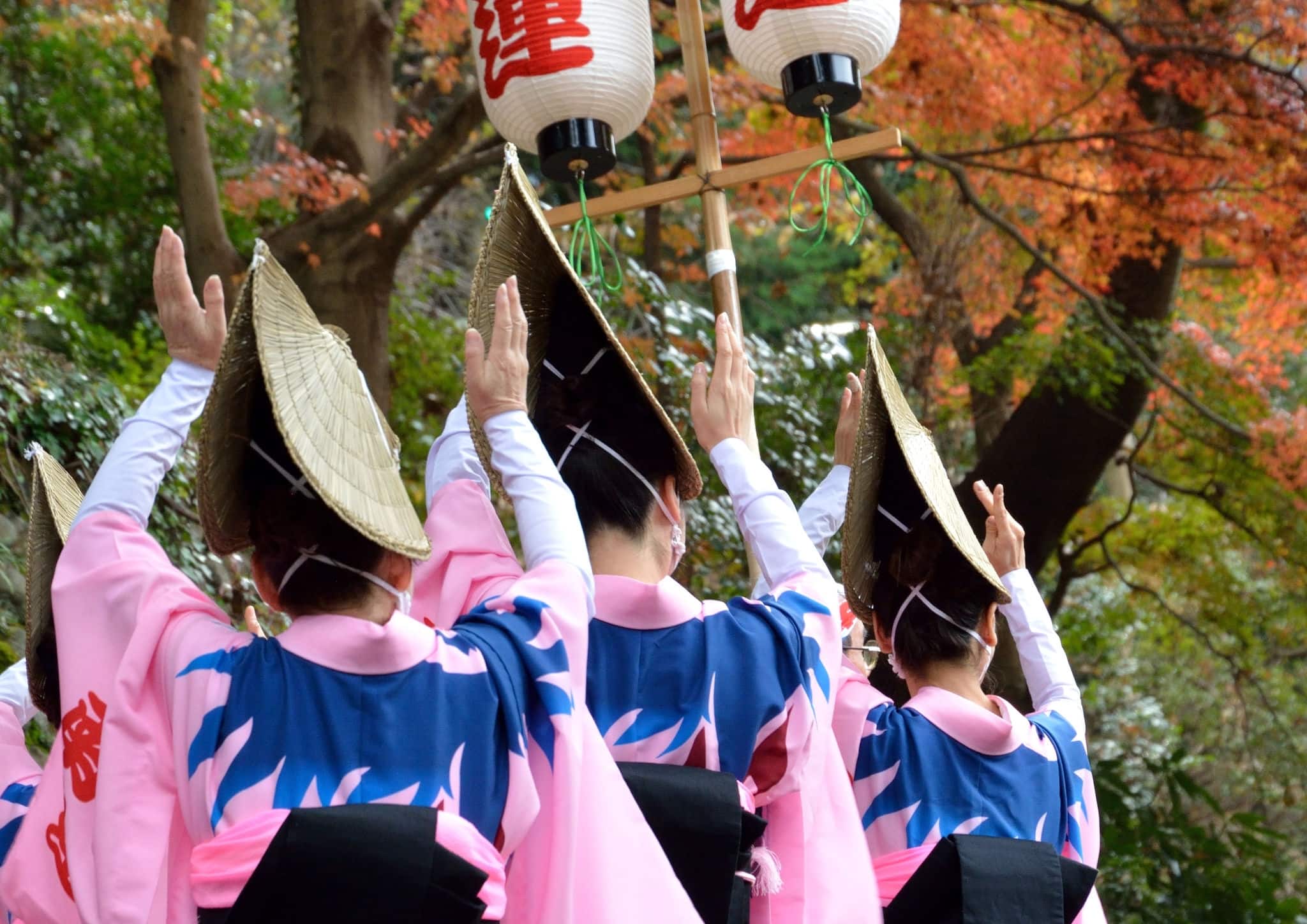 Female dancer of Awa-odori dance in japanese autumn leaves