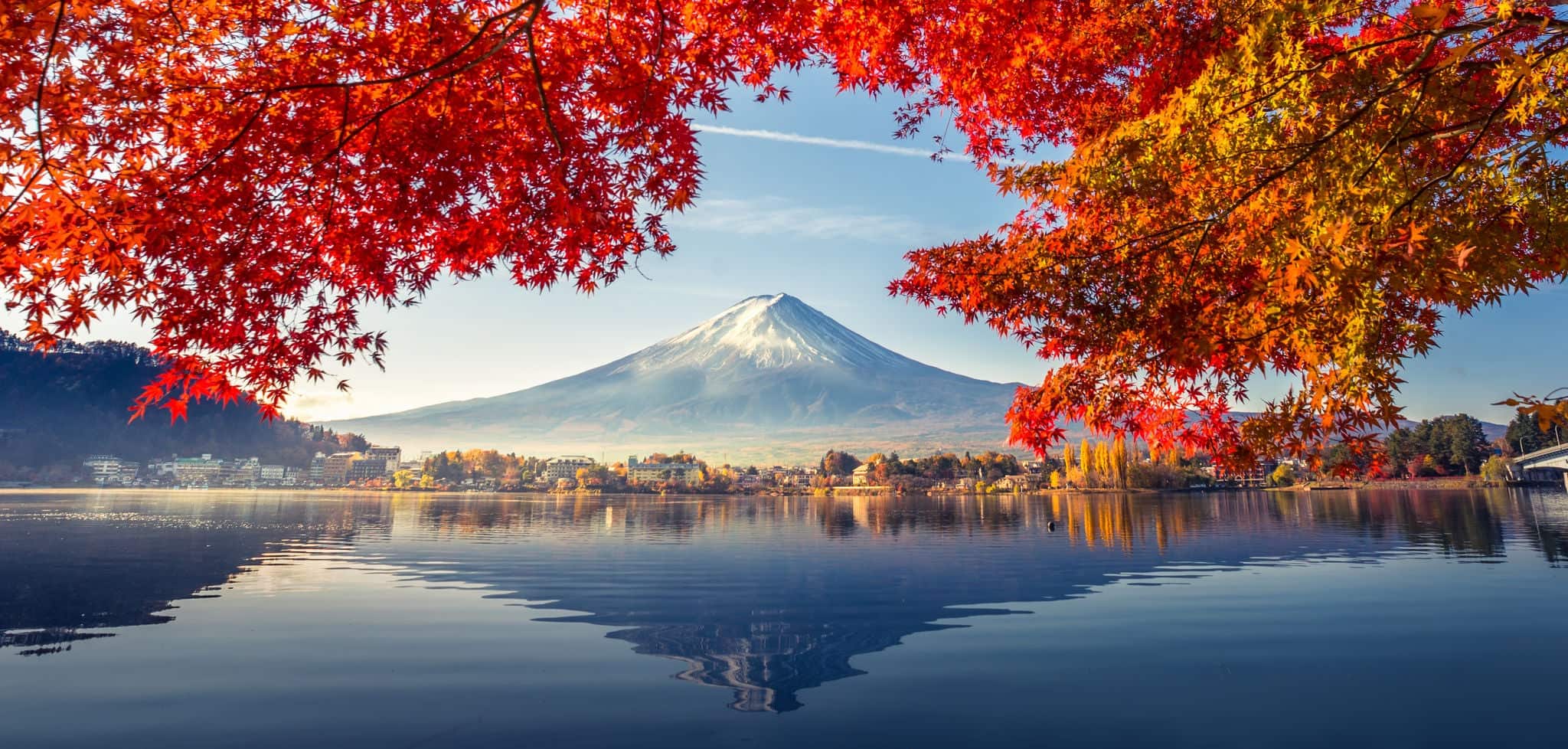 Colorful Autumn Season and Mountain Fuji with morning fog and red leaves at lake Kawaguchiko is one of the best places in Japan