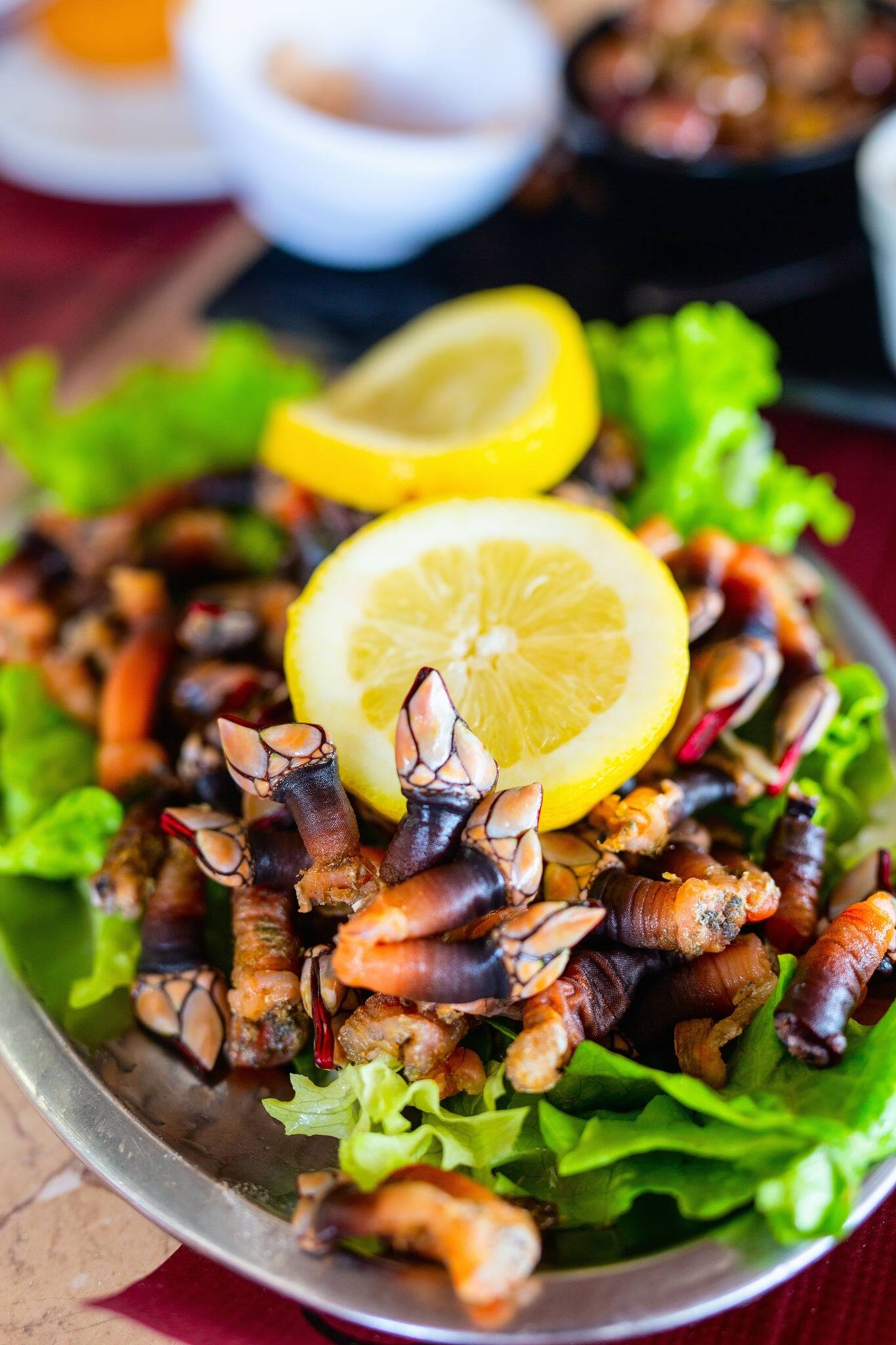 Fresh goose neck barnacles also known as portuguese percebes served with lemon and white wine for lunch in restaurant.