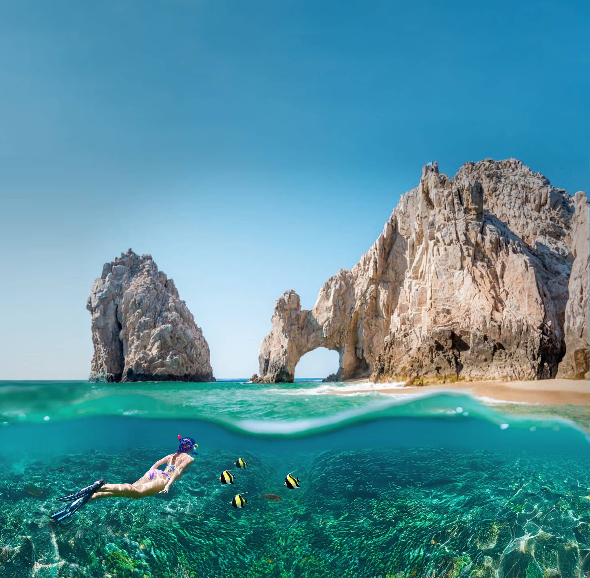 Snorkeling in Mexico. 