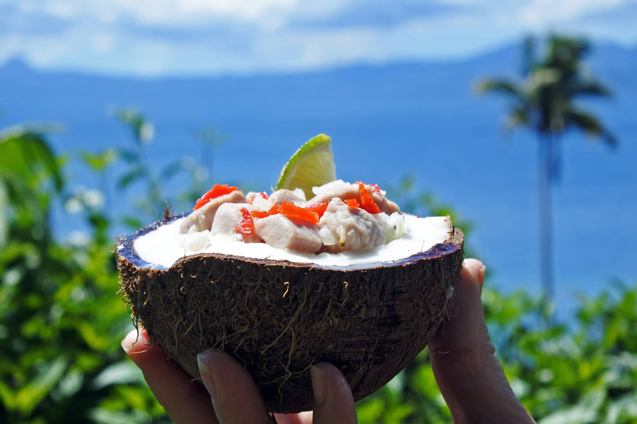 Fijian Food, Kokoda (Raw Fish Salad) against Tropical Island landscape. Kokoda is Fiji's version of Ceviche seafood dish, enriched with coconut milk to balance out all the acid. No people. Copy Space.