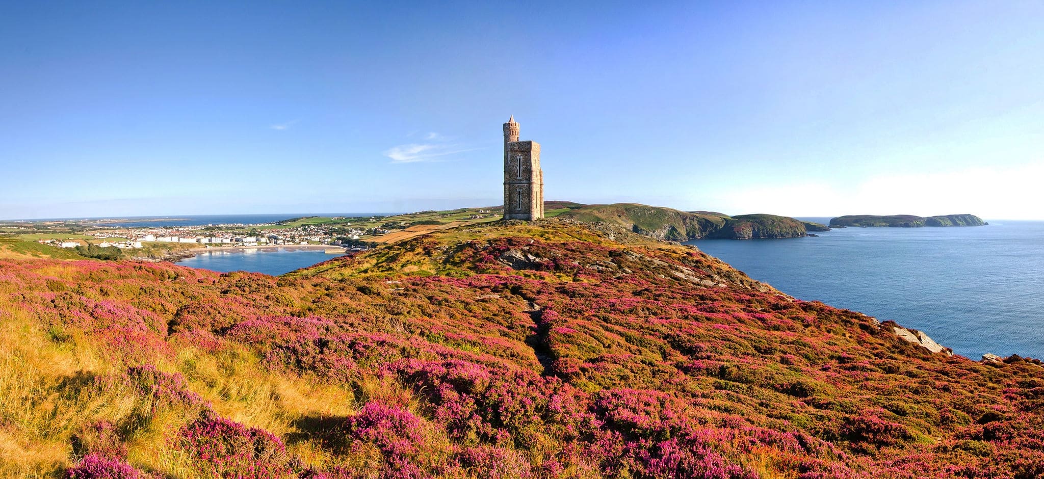 Heather in Bloom on Brada Head. Panorama of South of the Isle of Man with Milner Tower. Port Erin on the Right and Calf of Mann on the left.
