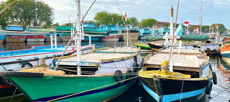 Traditional Fishing Boats