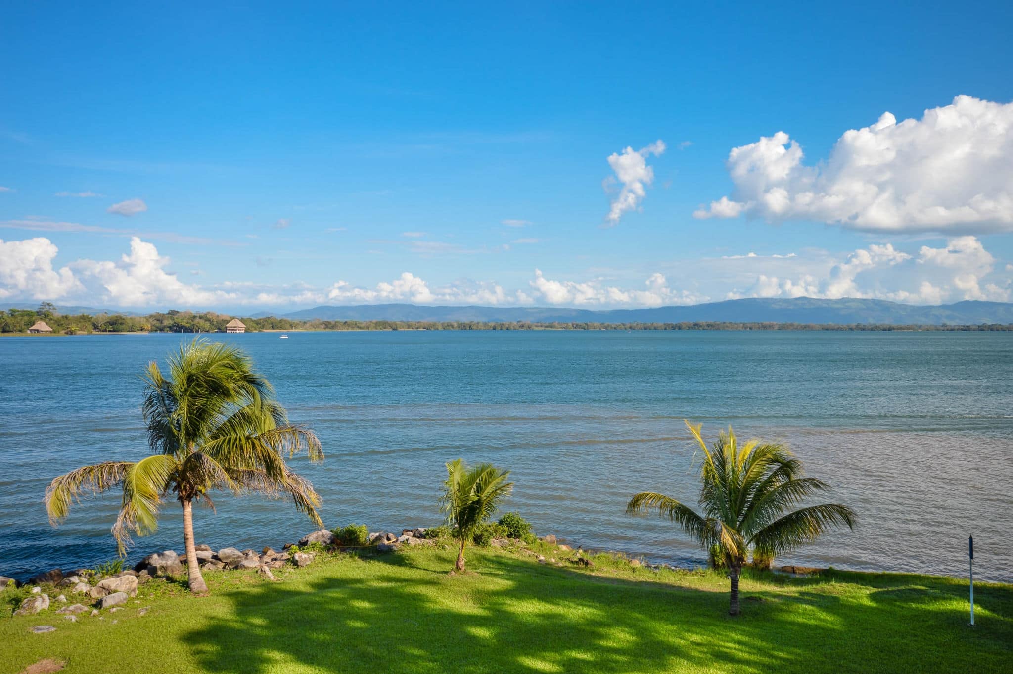 Beautiful green meadow by the shore of the Lake Izabal - the biggest lake in Guatemala. Central America