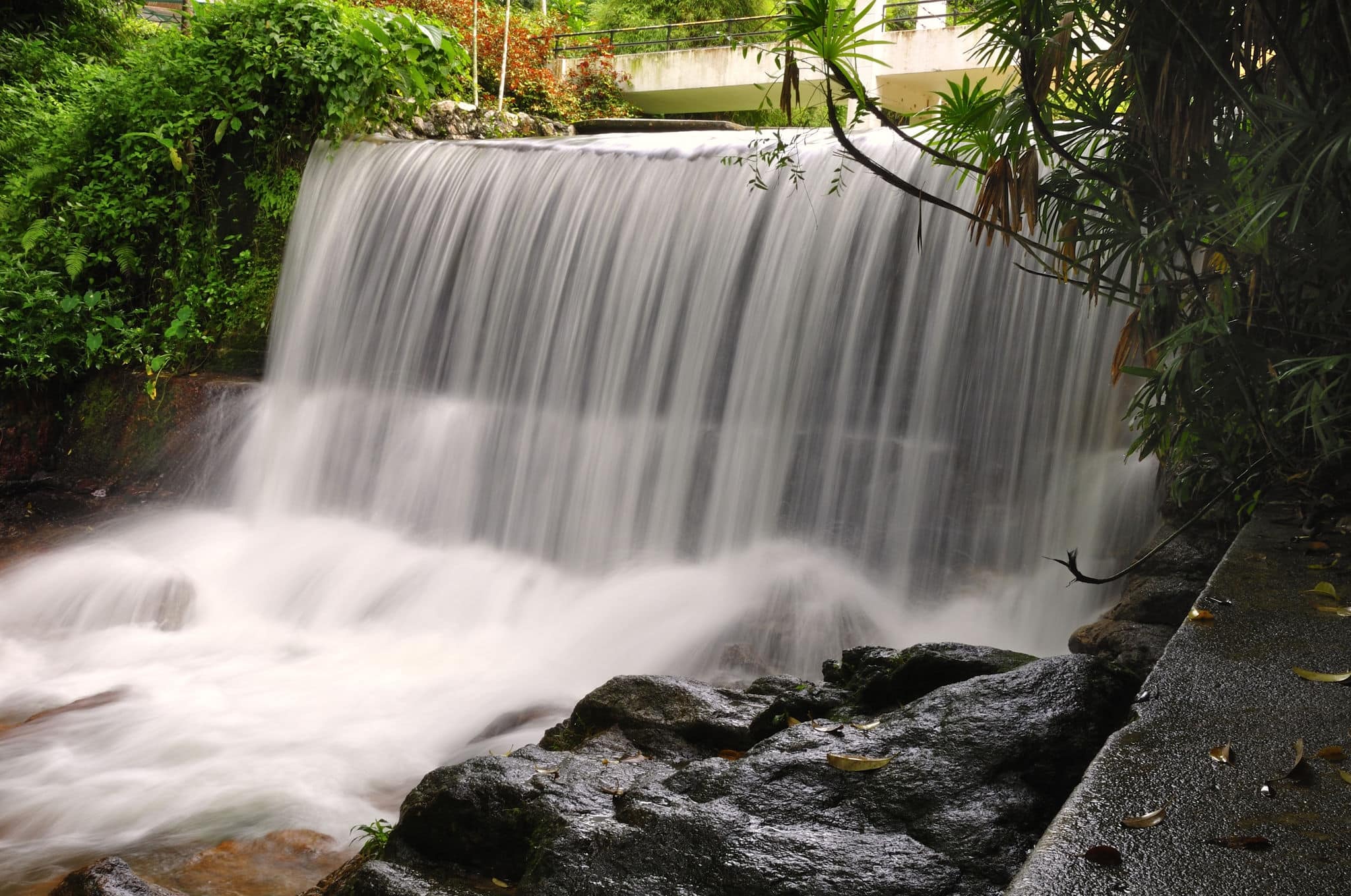 Waterfall at Penang Botanical Garden